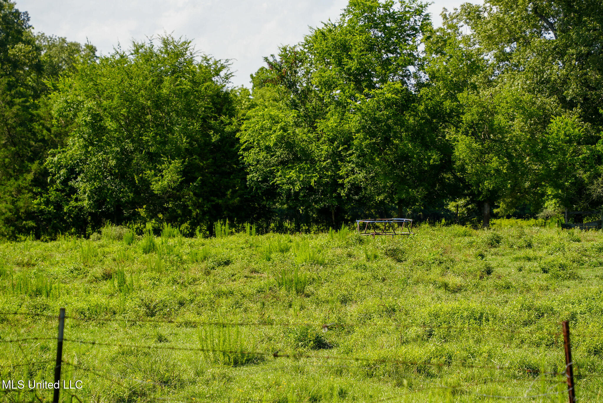 3084 Tom Collins Road Property Photo 42