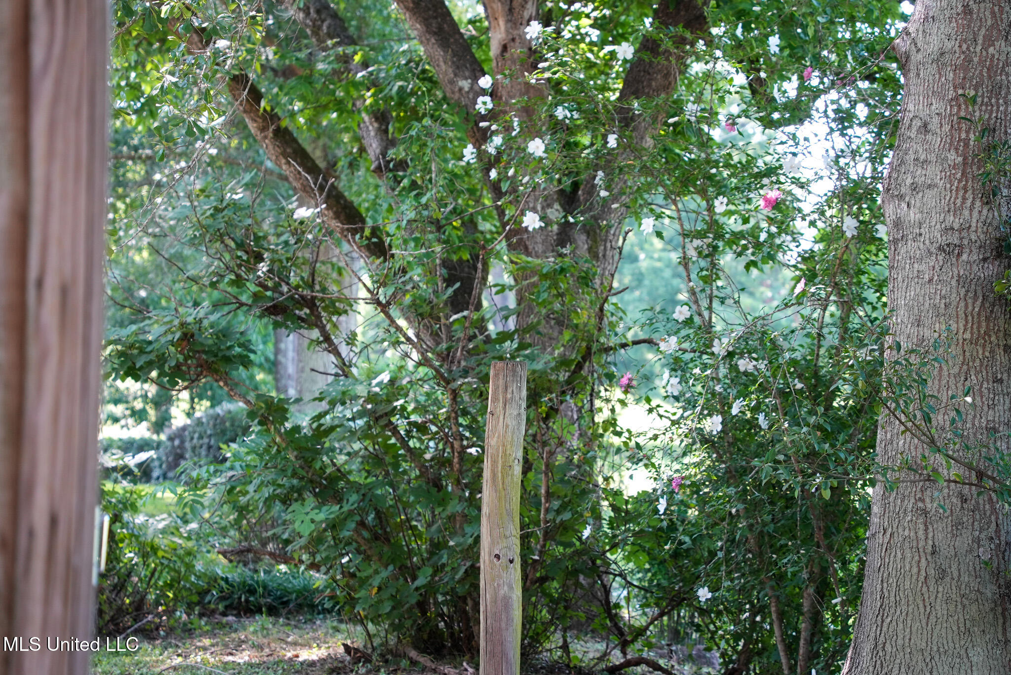 3084 Tom Collins Road Property Photo 47