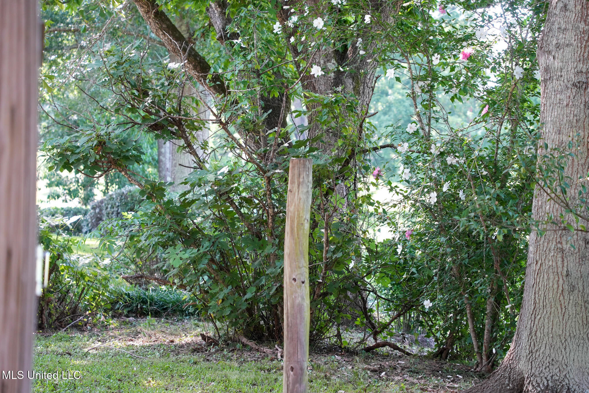 3084 Tom Collins Road Property Photo 49