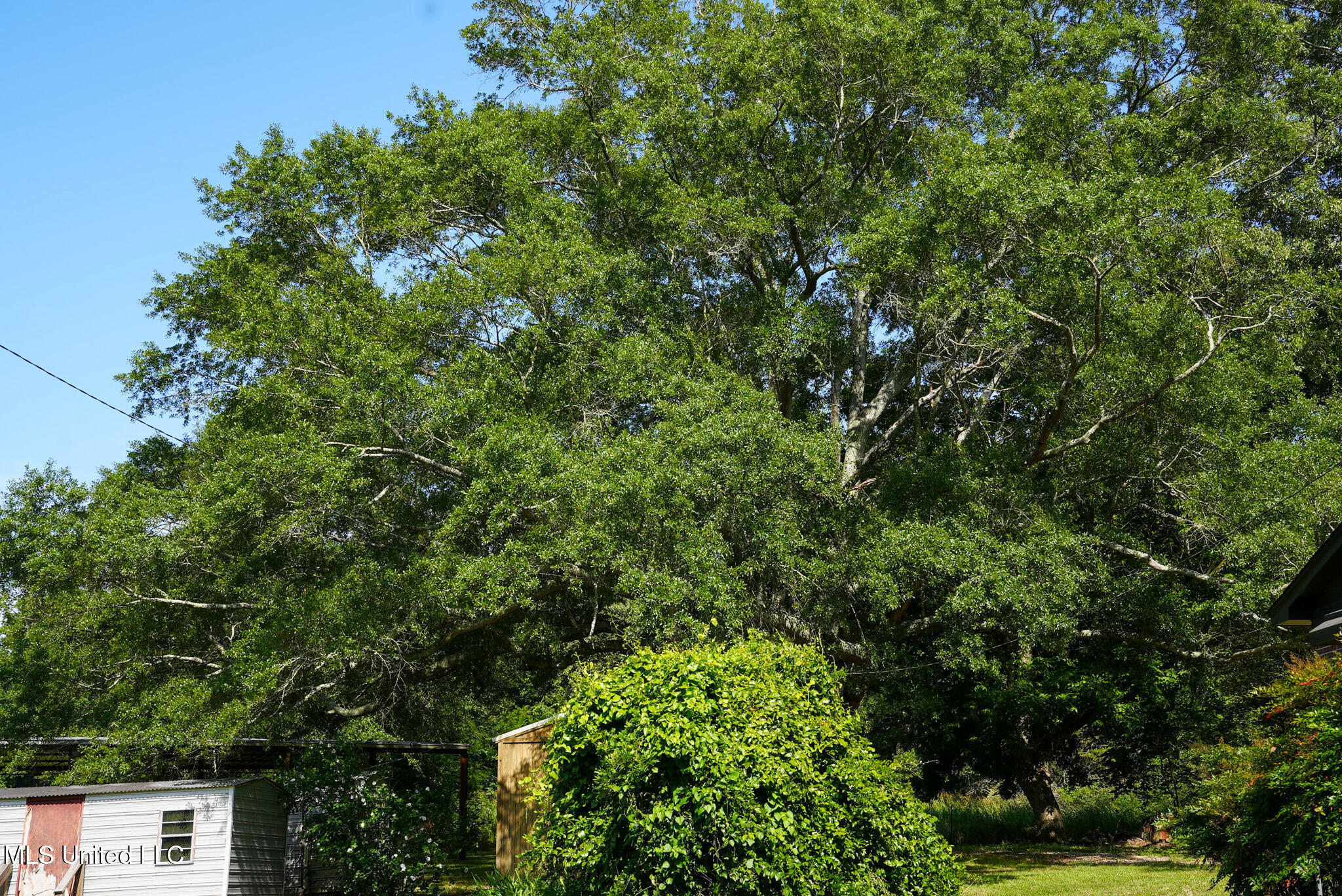 3084 Tom Collins Road Property Photo 51