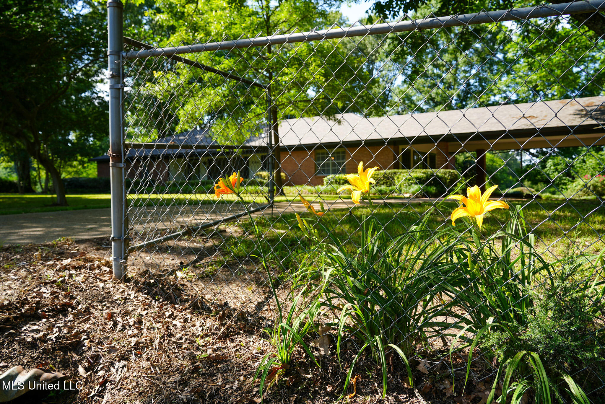 3084 Tom Collins Road Property Photo 53