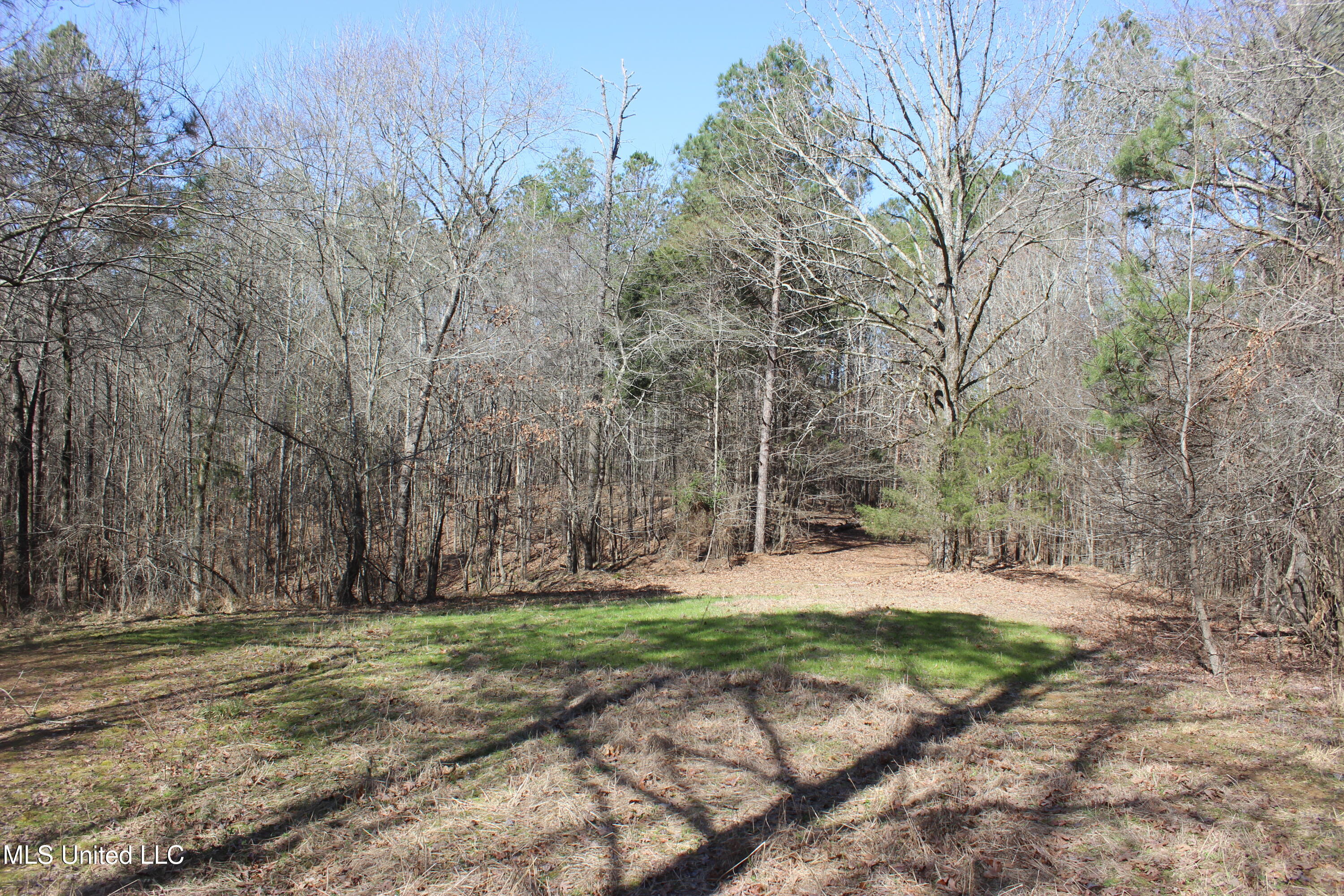 Poorhouse Rd Road Property Photo 1