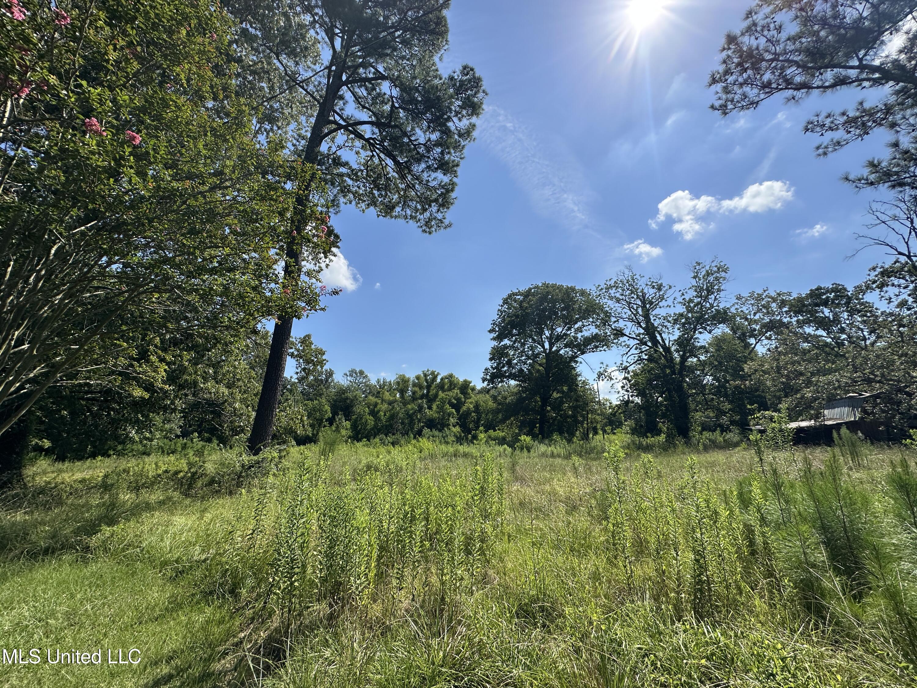 0 N Hwy 35 Property Photo 1