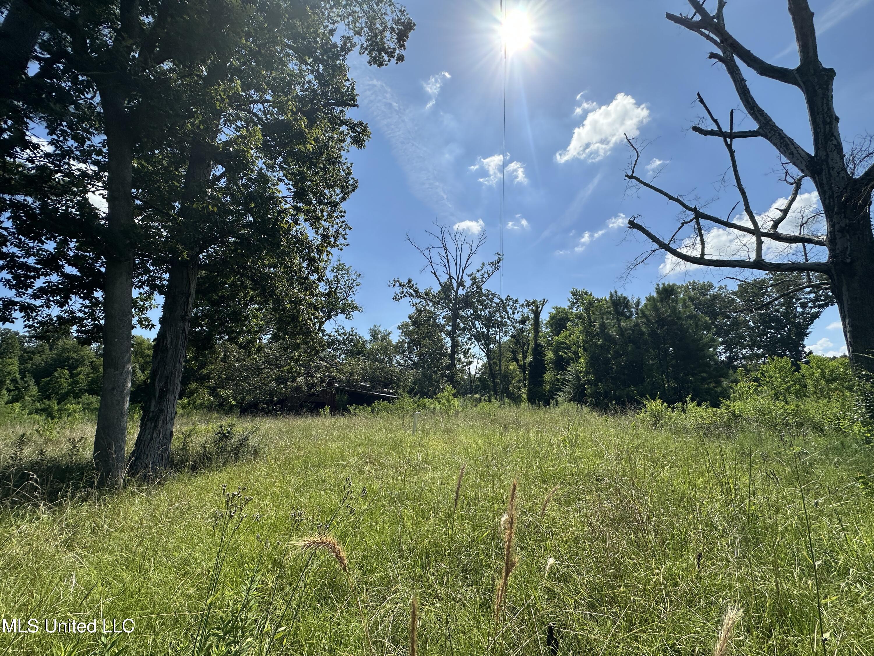 0 N Hwy 35 Property Photo 3