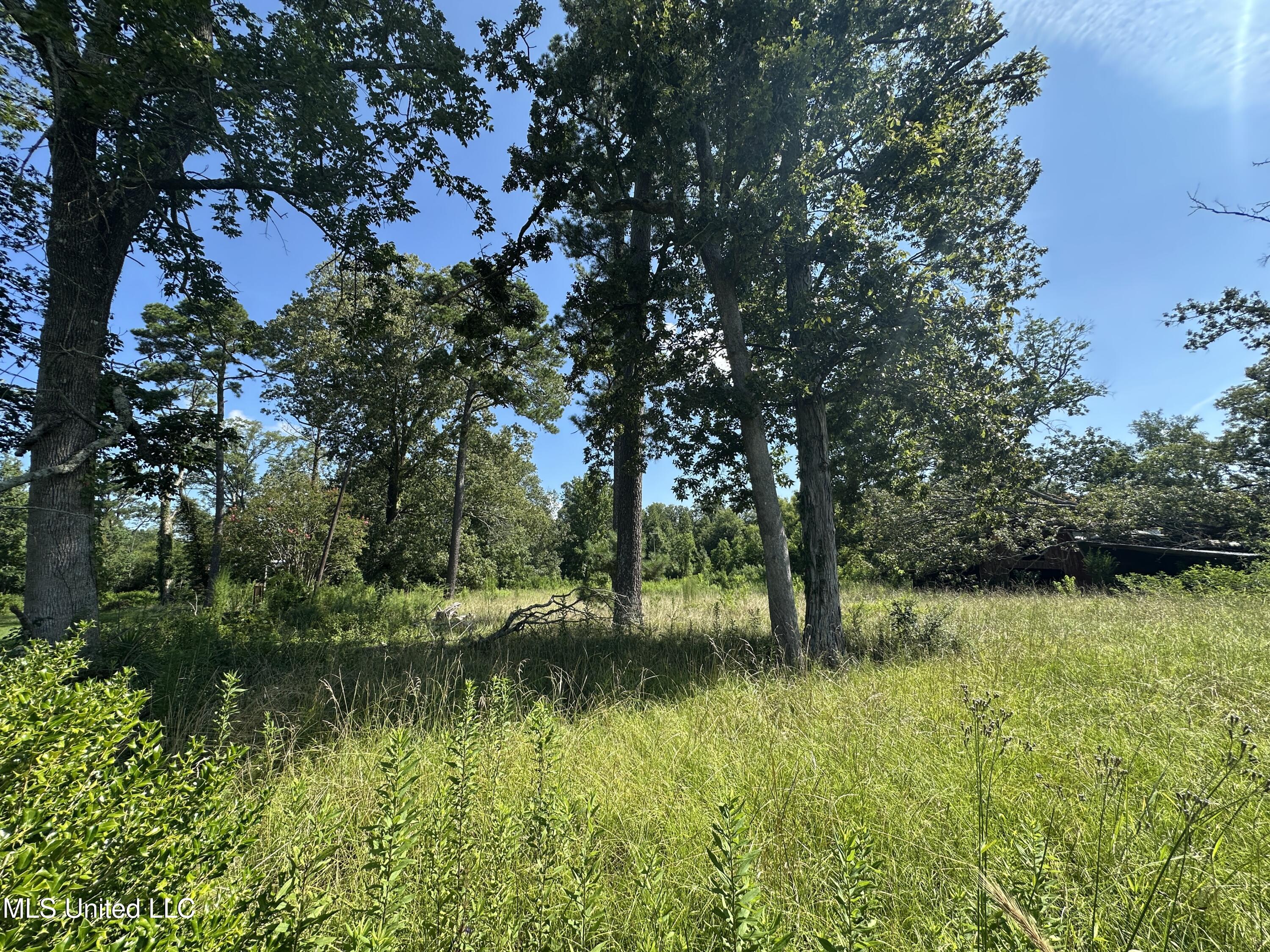 0 N Hwy 35 Property Photo 4