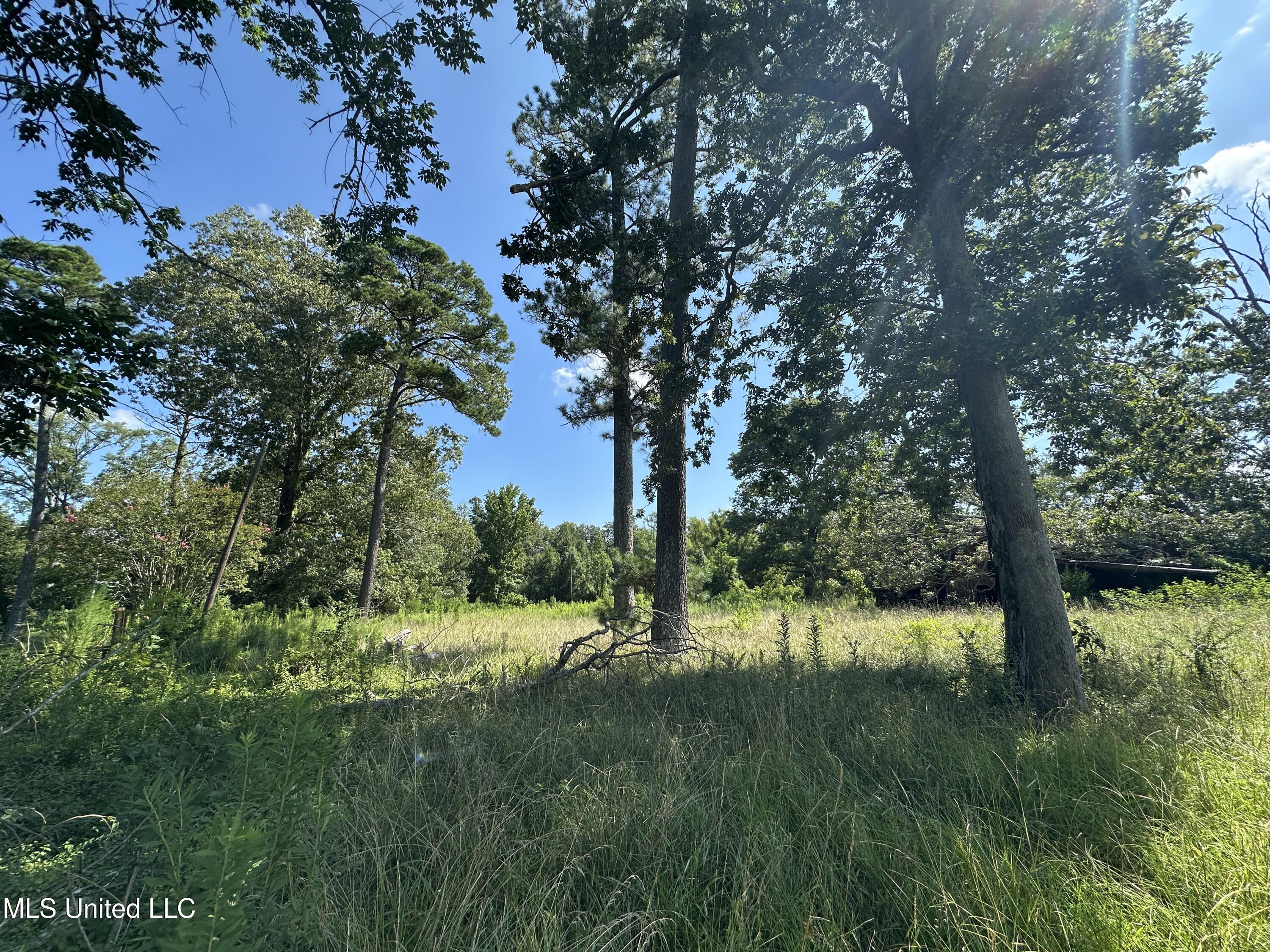 0 N Hwy 35 Property Photo 5