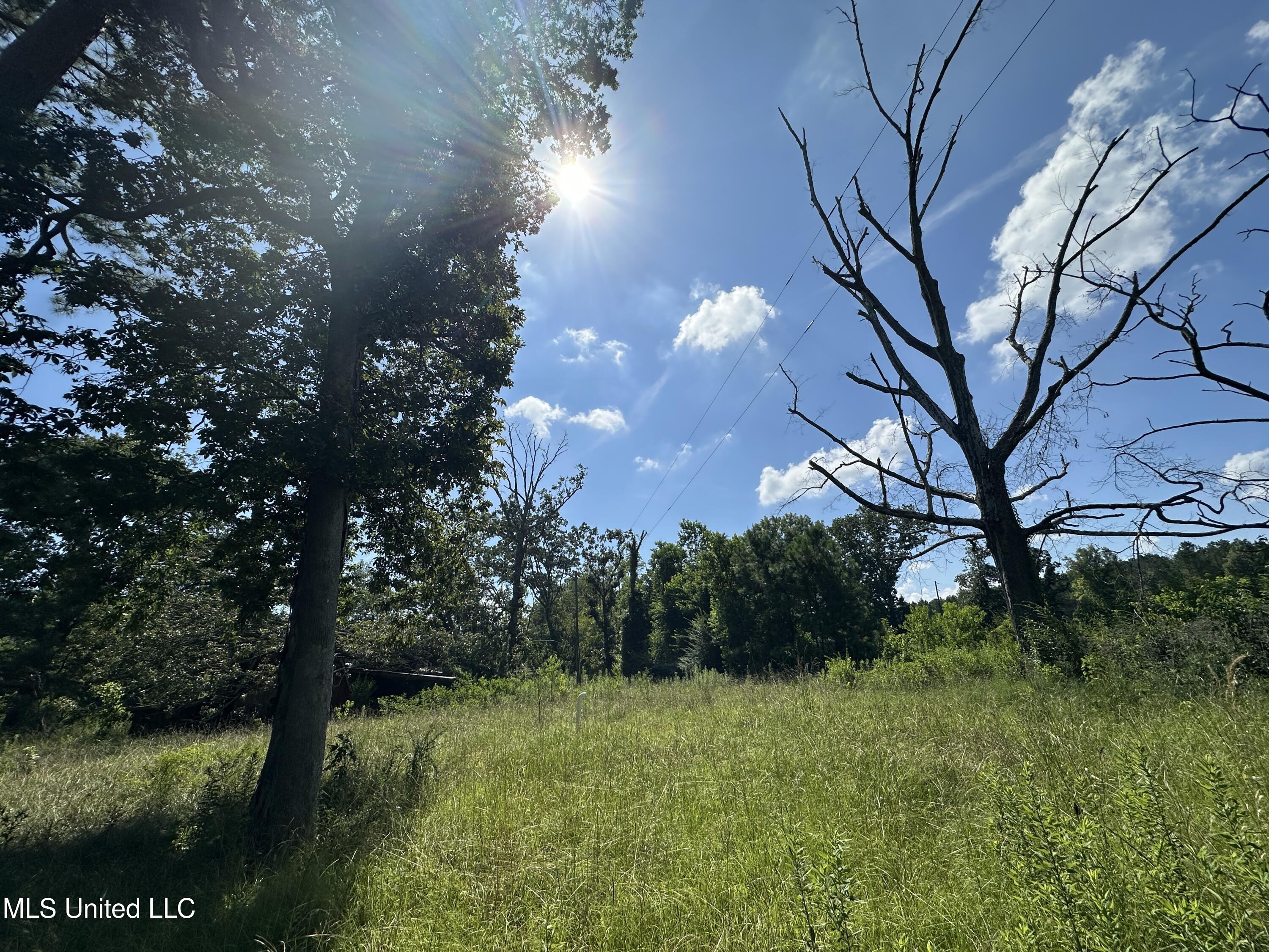 0 N Hwy 35 Property Photo 6