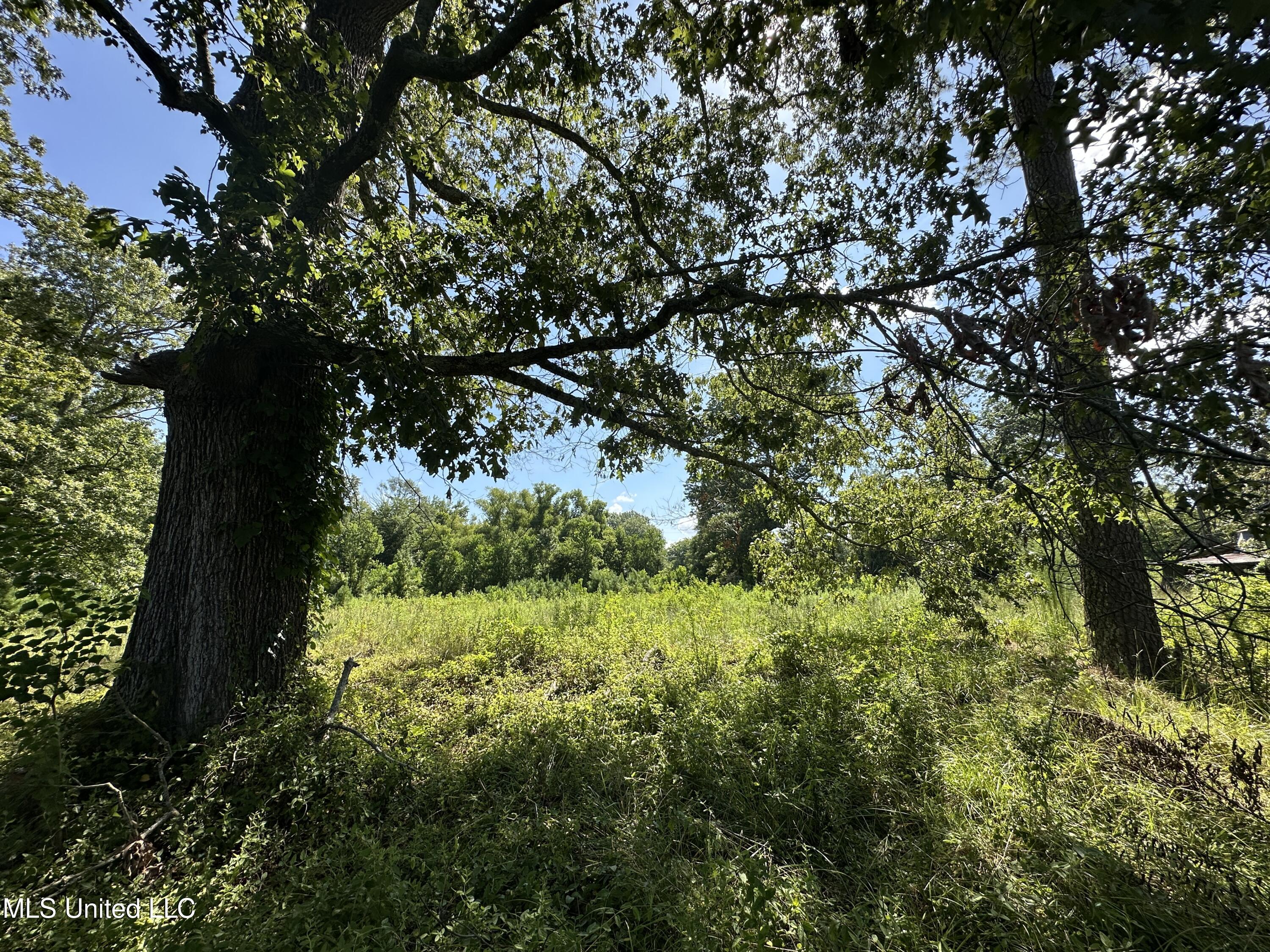 0 N Hwy 35 Property Photo 8