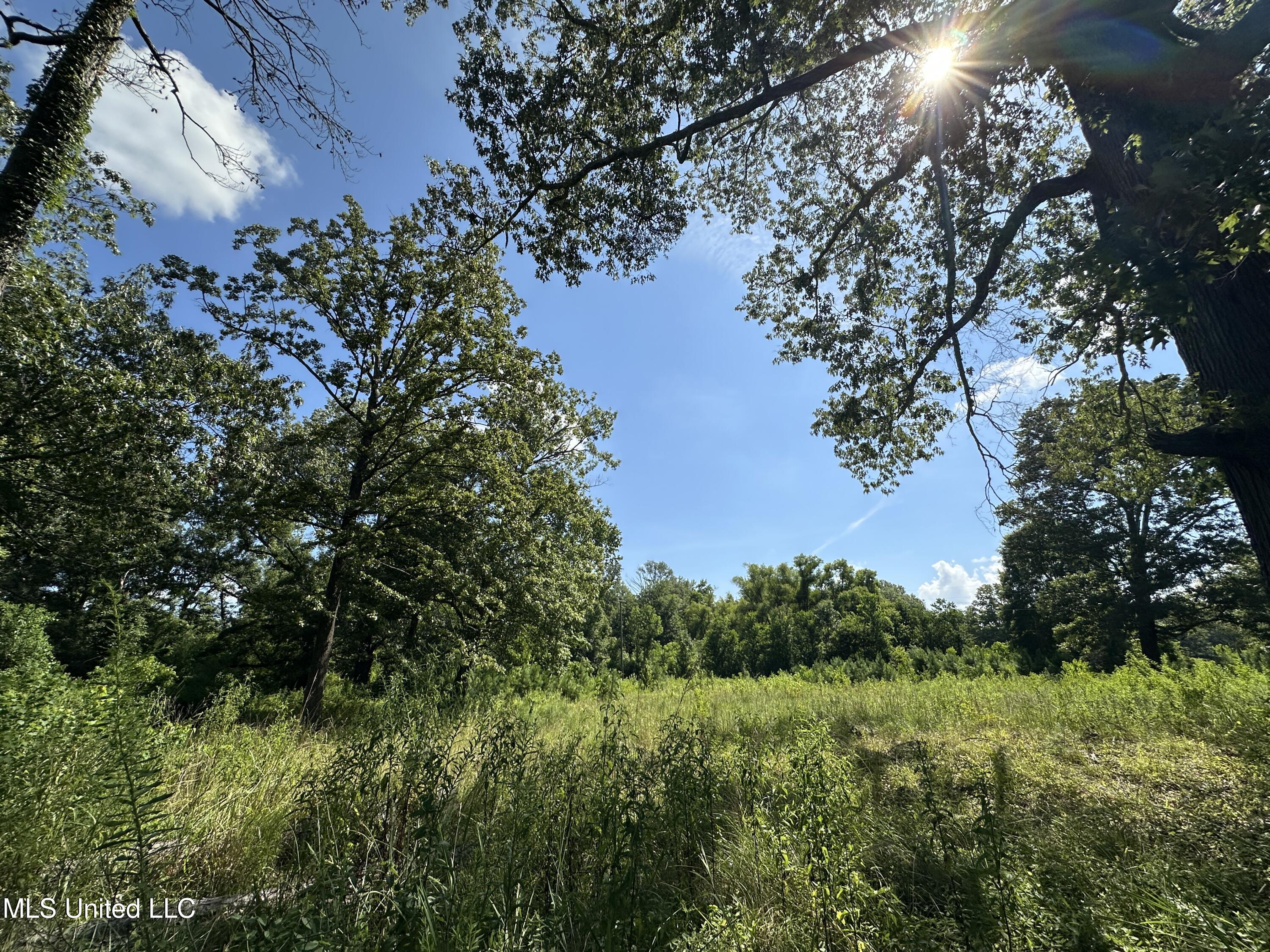 0 N Hwy 35 Property Photo 9