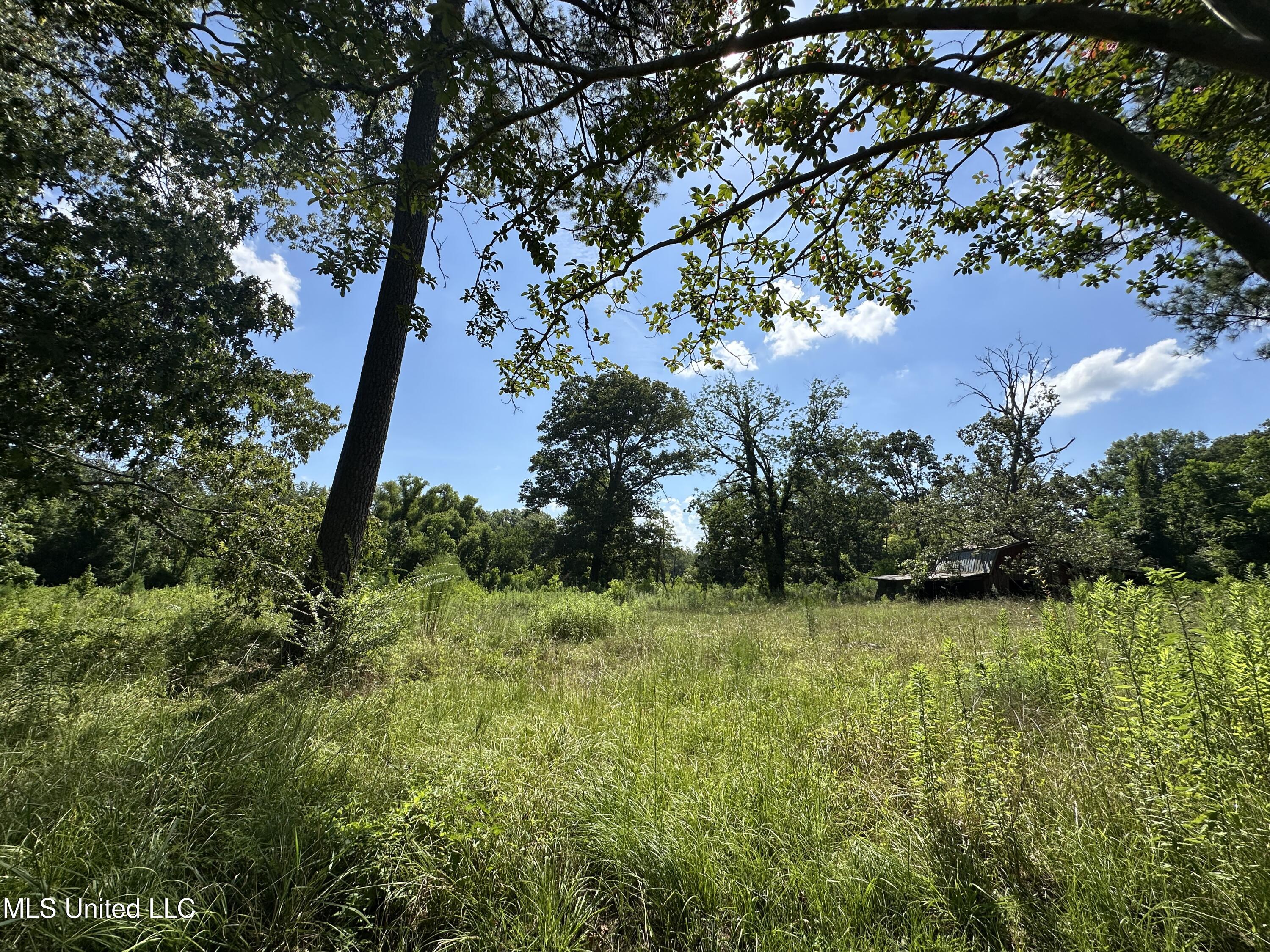 0 N Hwy 35 Property Photo 10