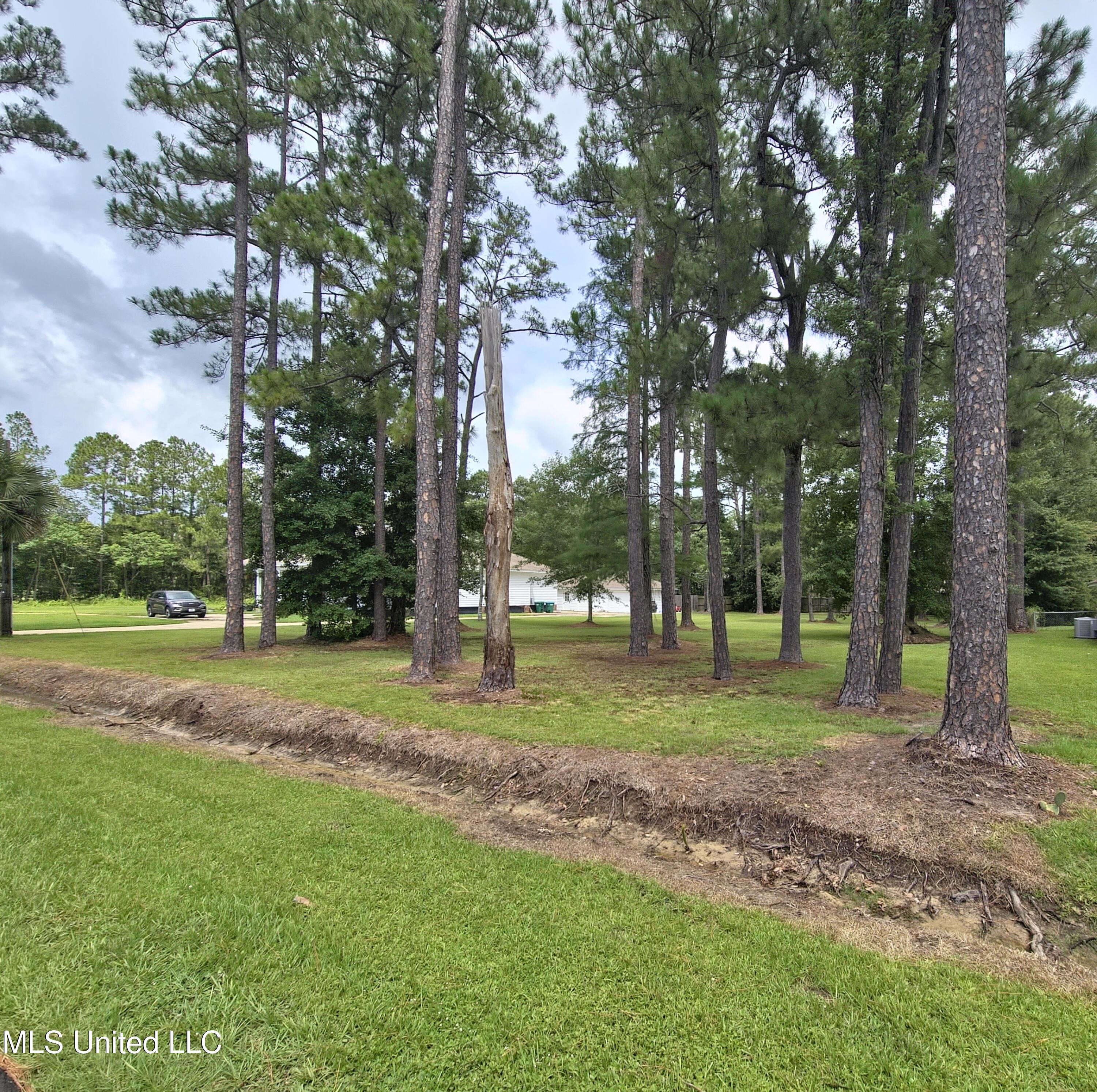 55th Street Property Photo 2