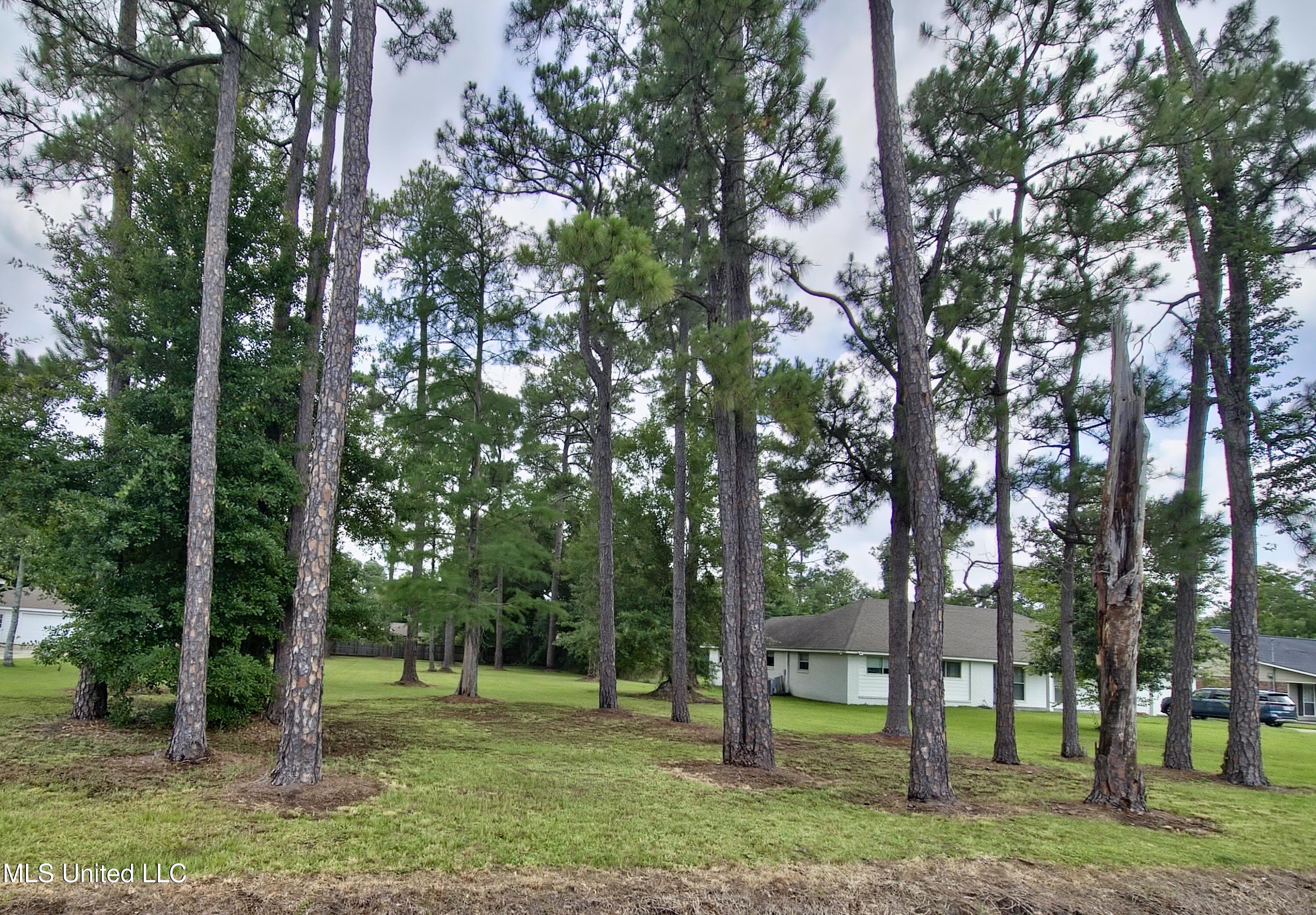 55th Street Property Photo 3