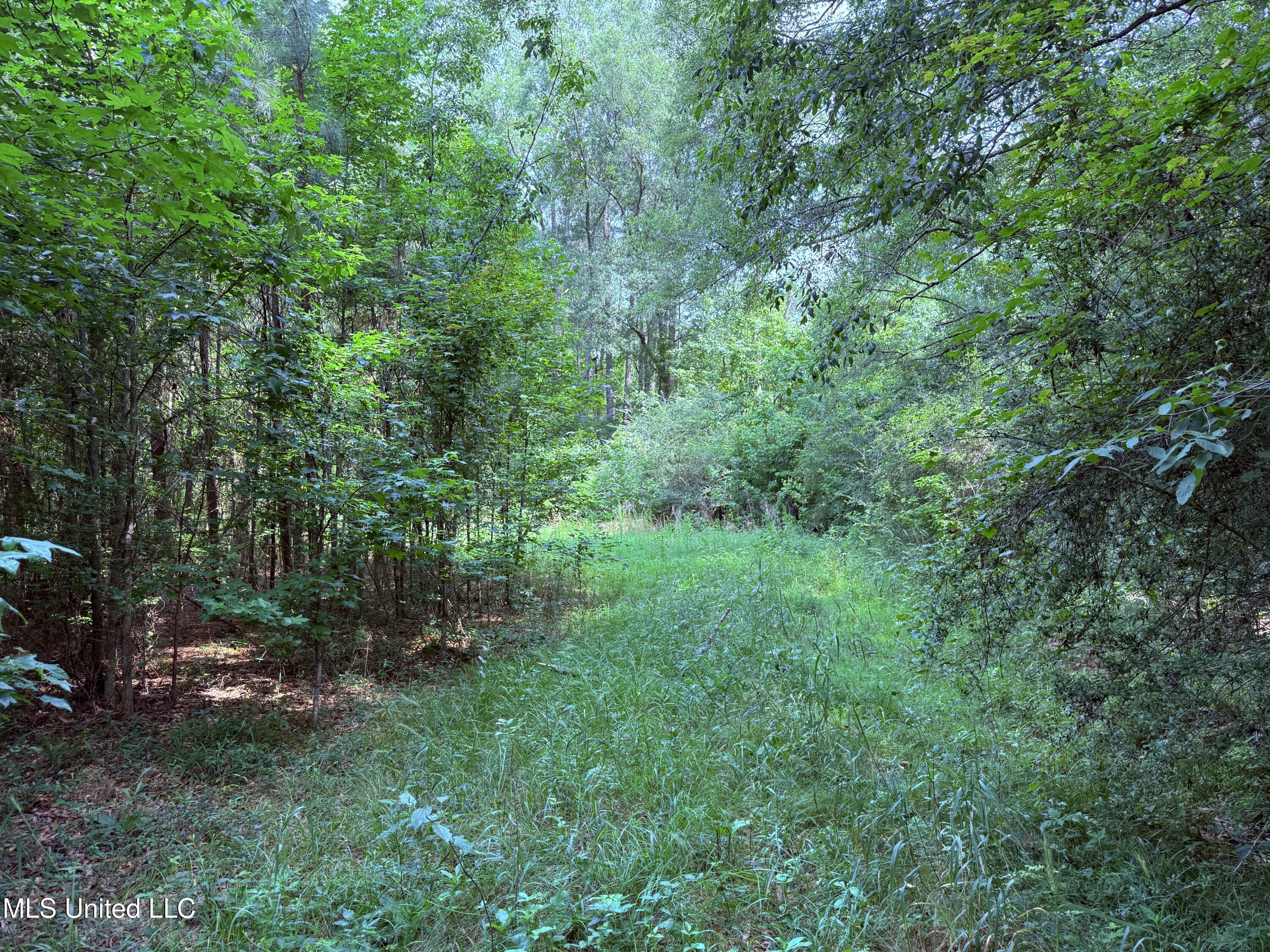 6769 Ms-569 Property Photo 35