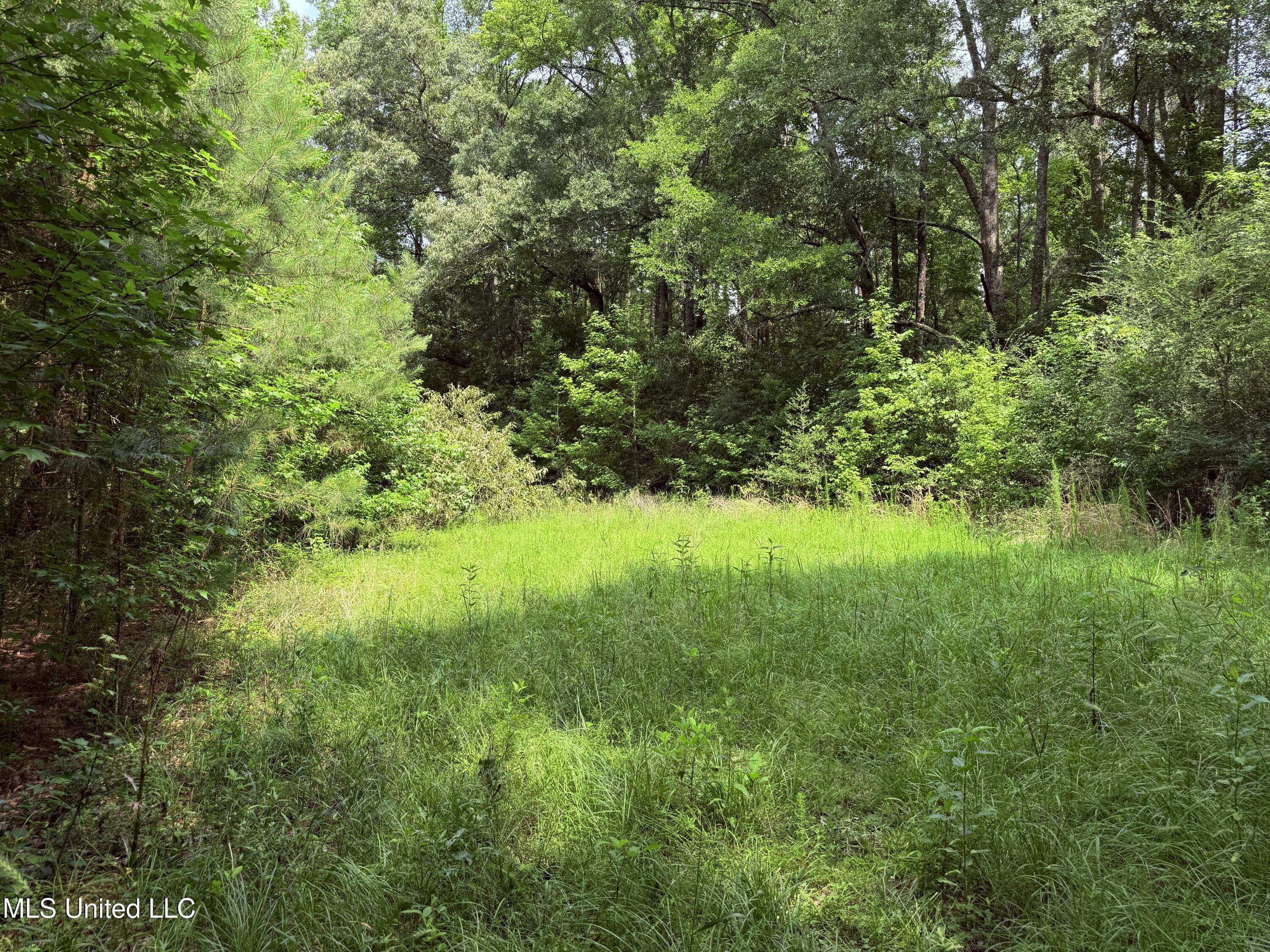 6769 Ms-569 Property Photo 36