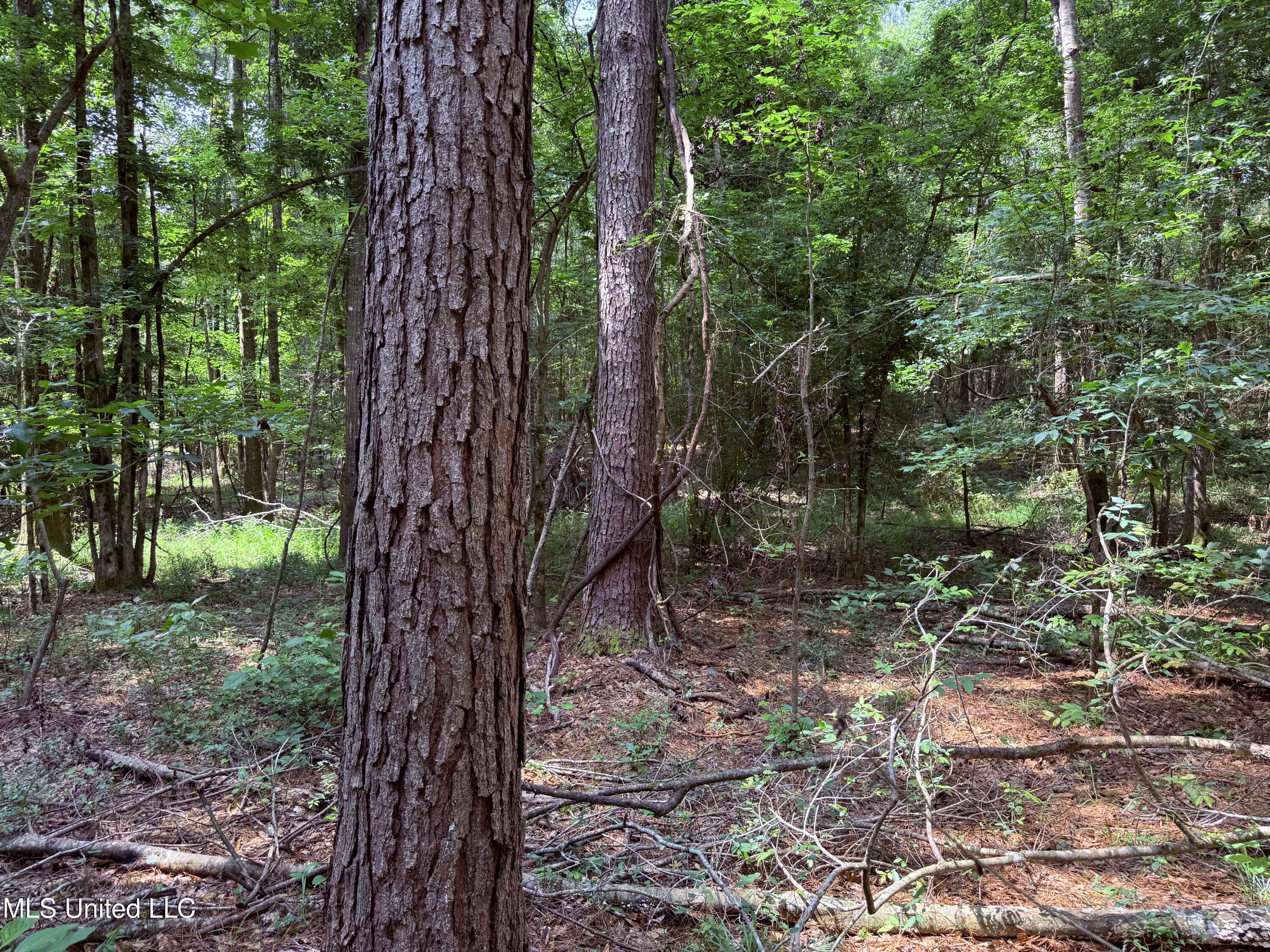 6769 Ms-569 Property Photo 37