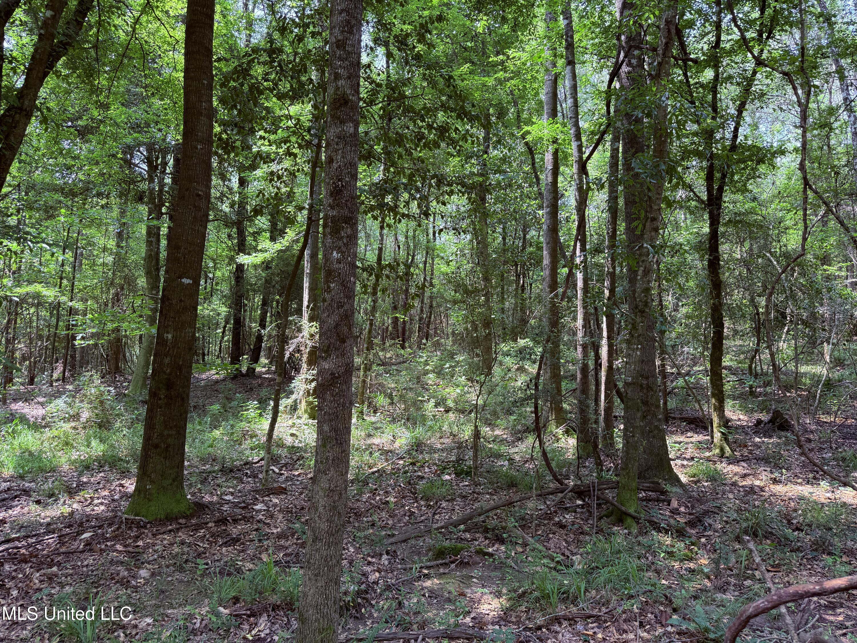 6769 Ms-569 Property Photo 38