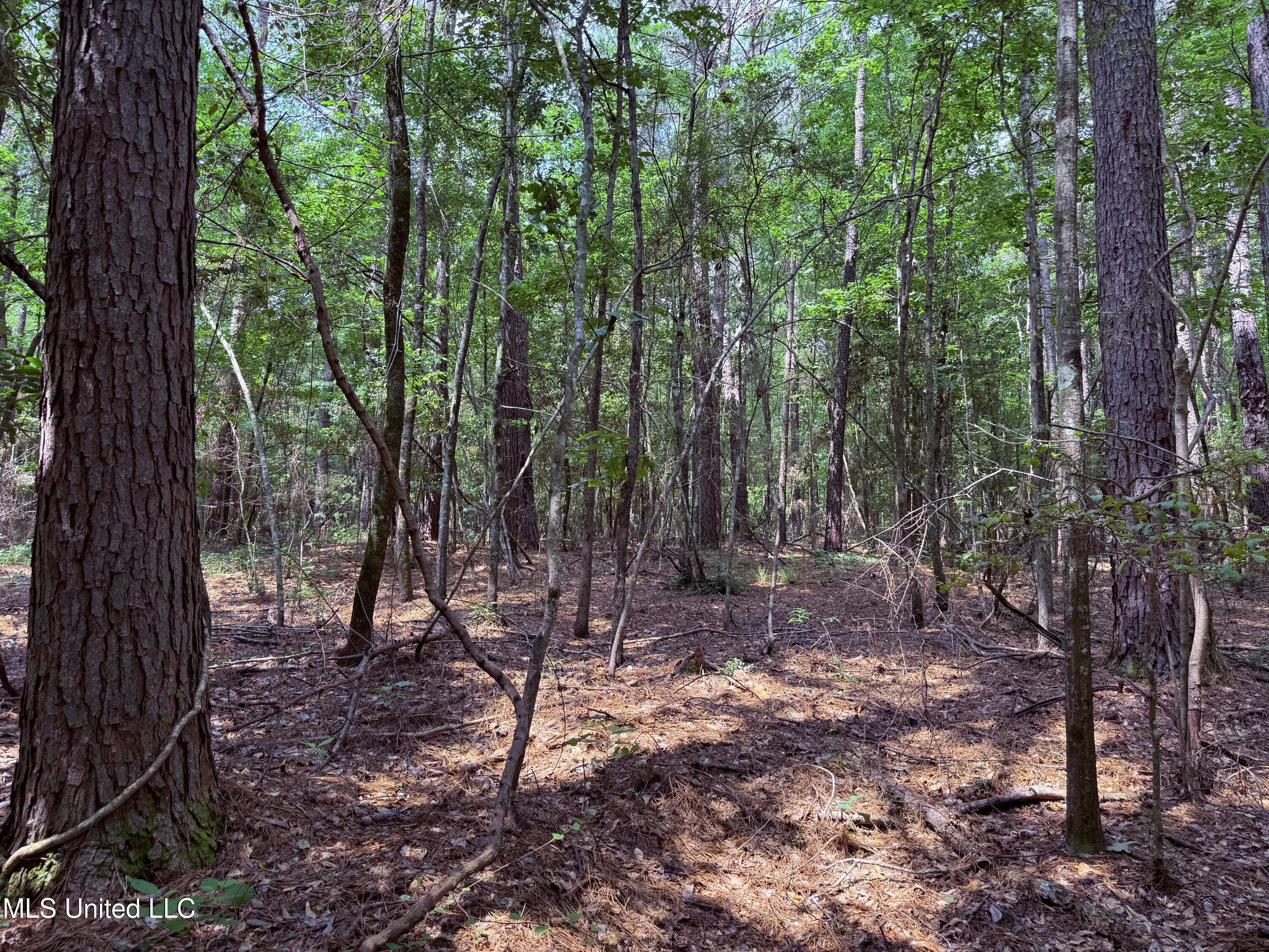 6769 Ms-569 Property Photo 39