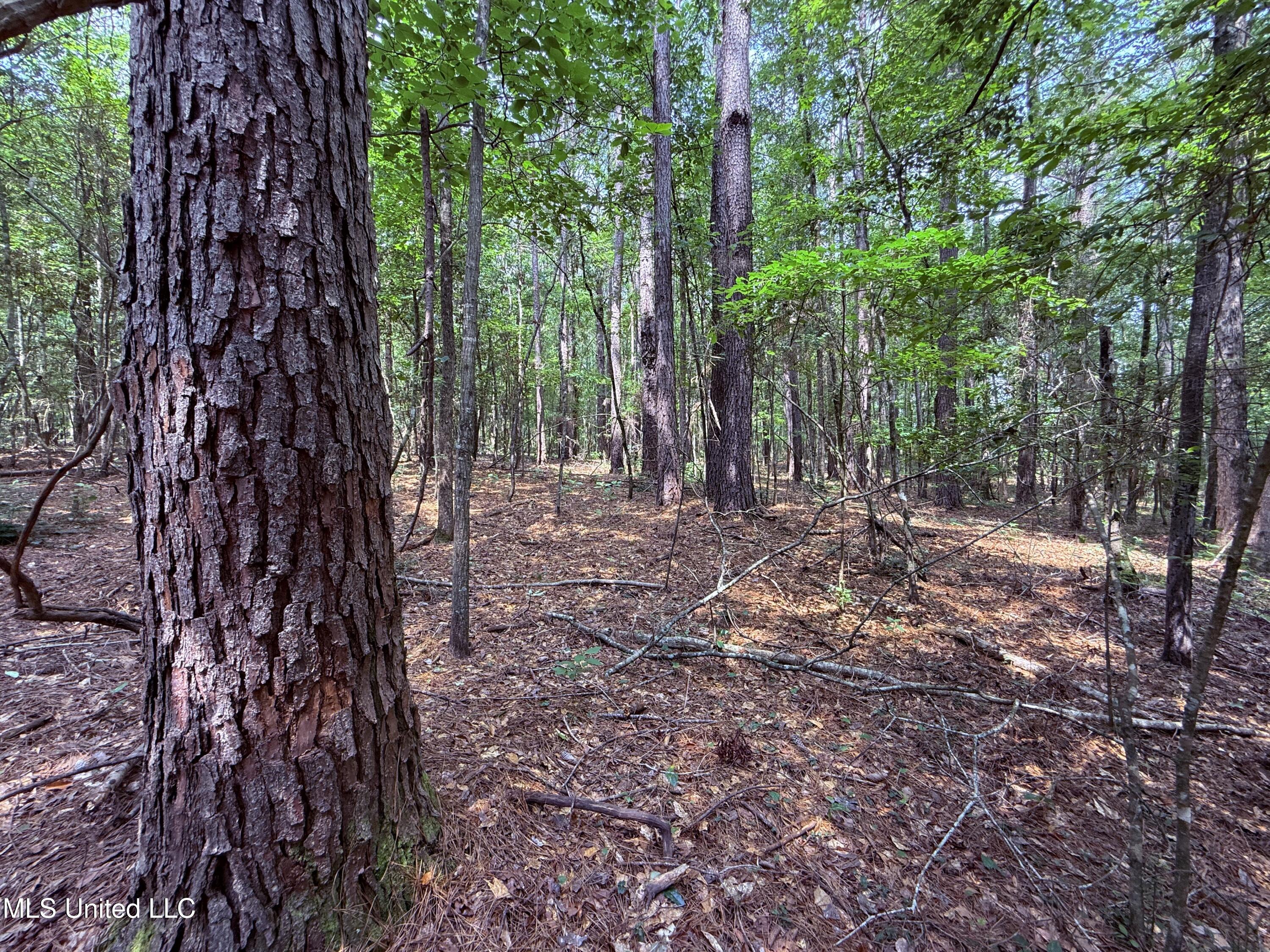 6769 Ms-569 Property Photo 41