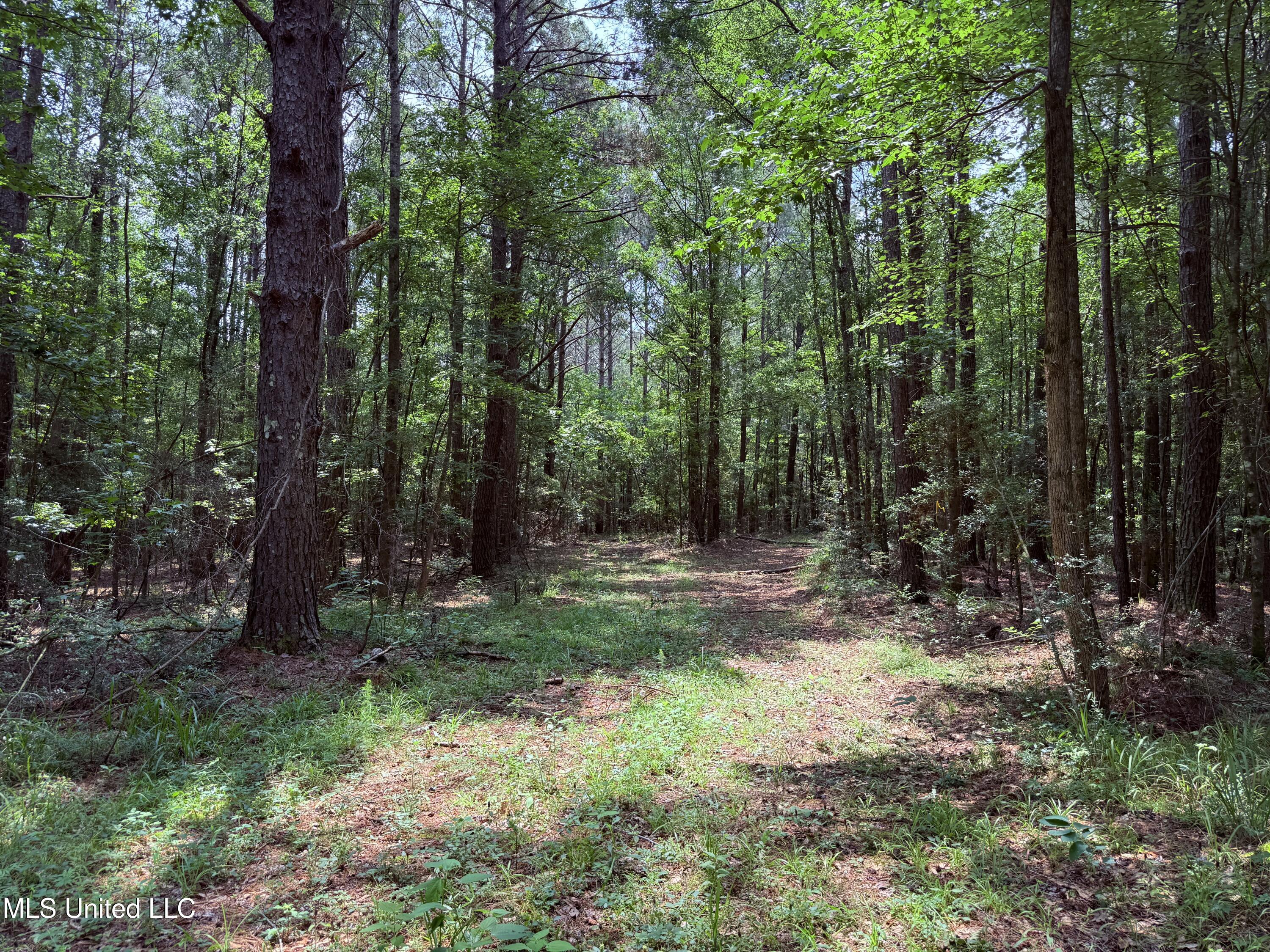 6769 Ms-569 Property Photo 44