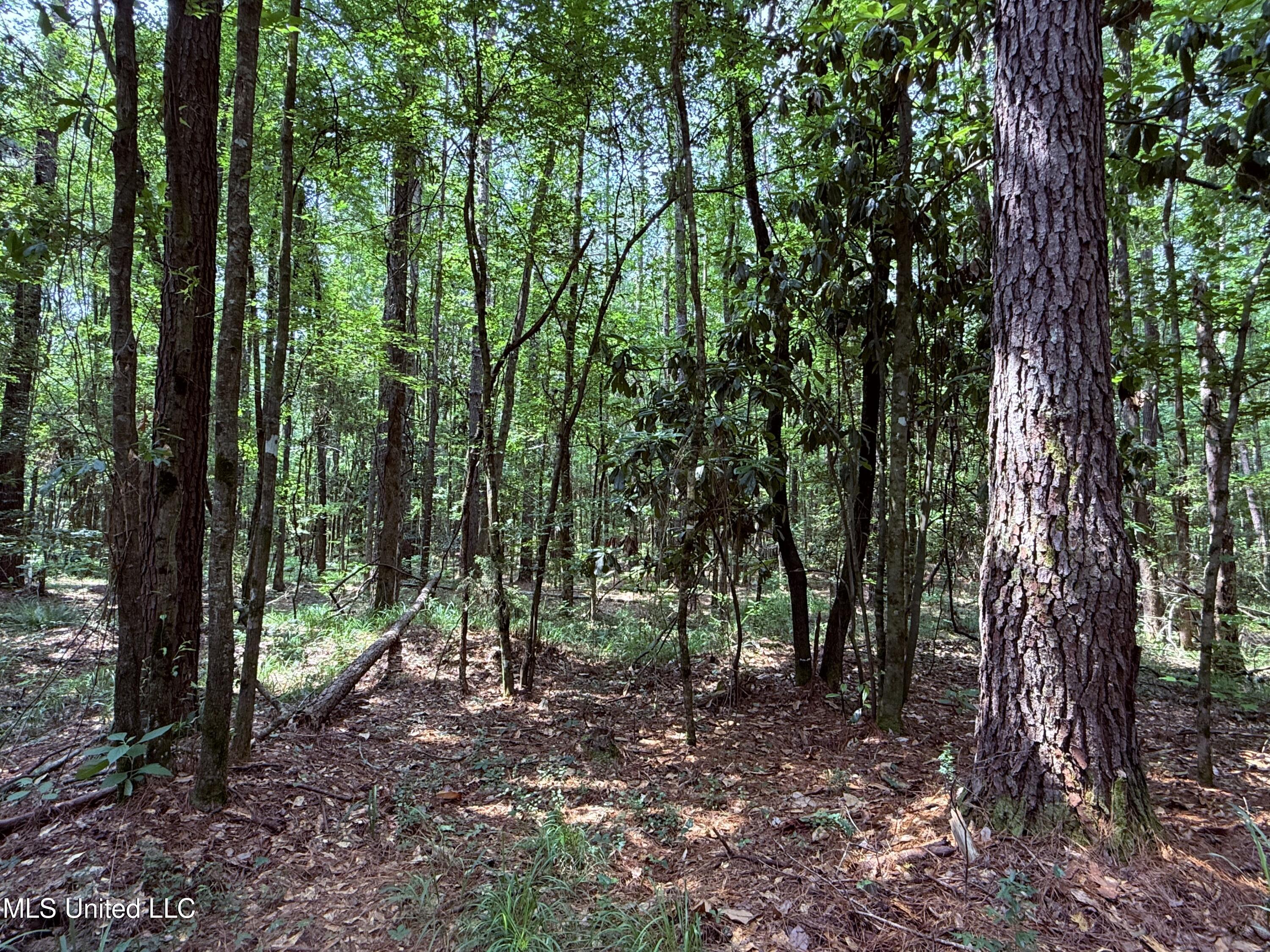 6769 Ms-569 Property Photo 45