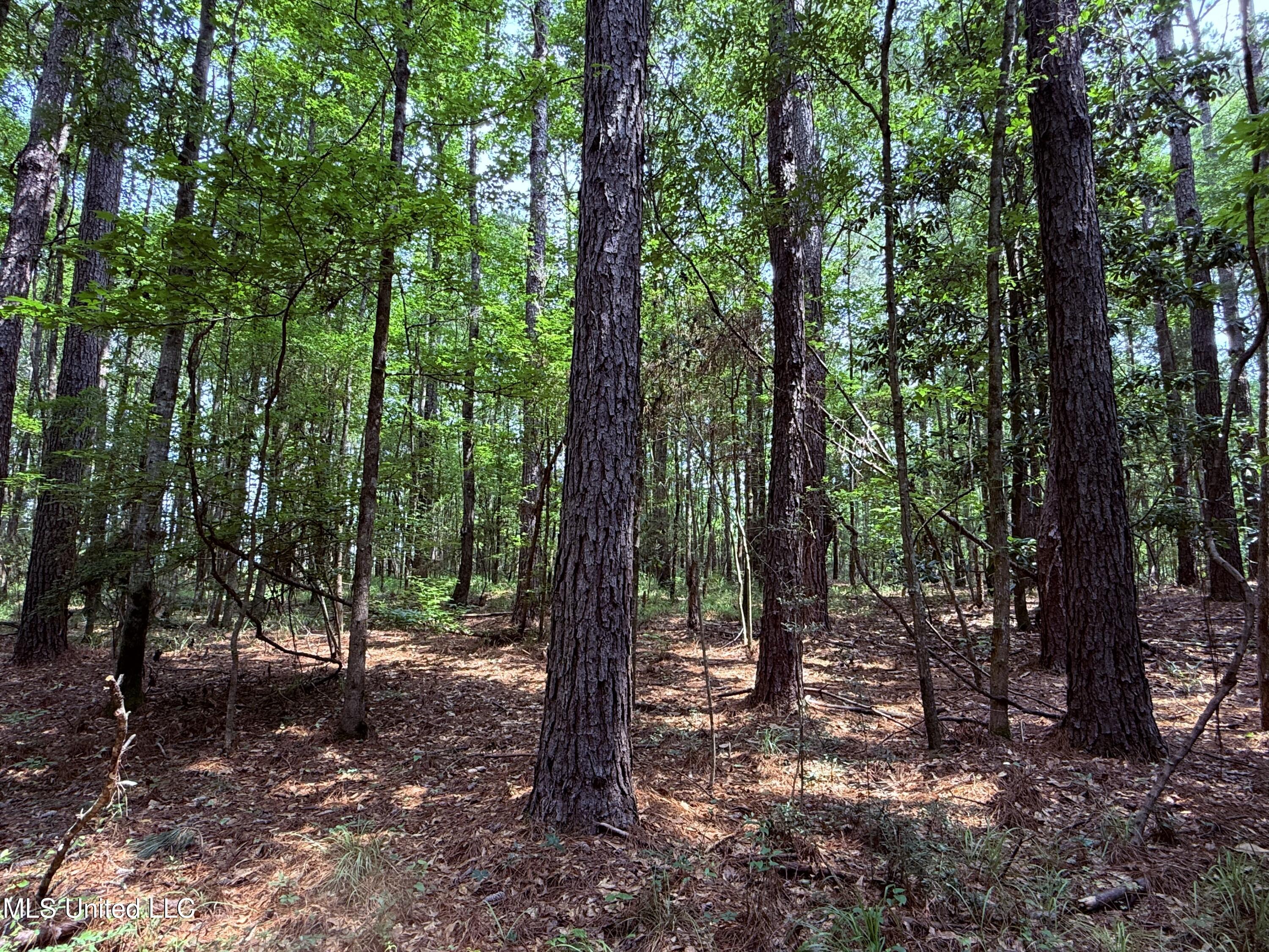 6769 Ms-569 Property Photo 46