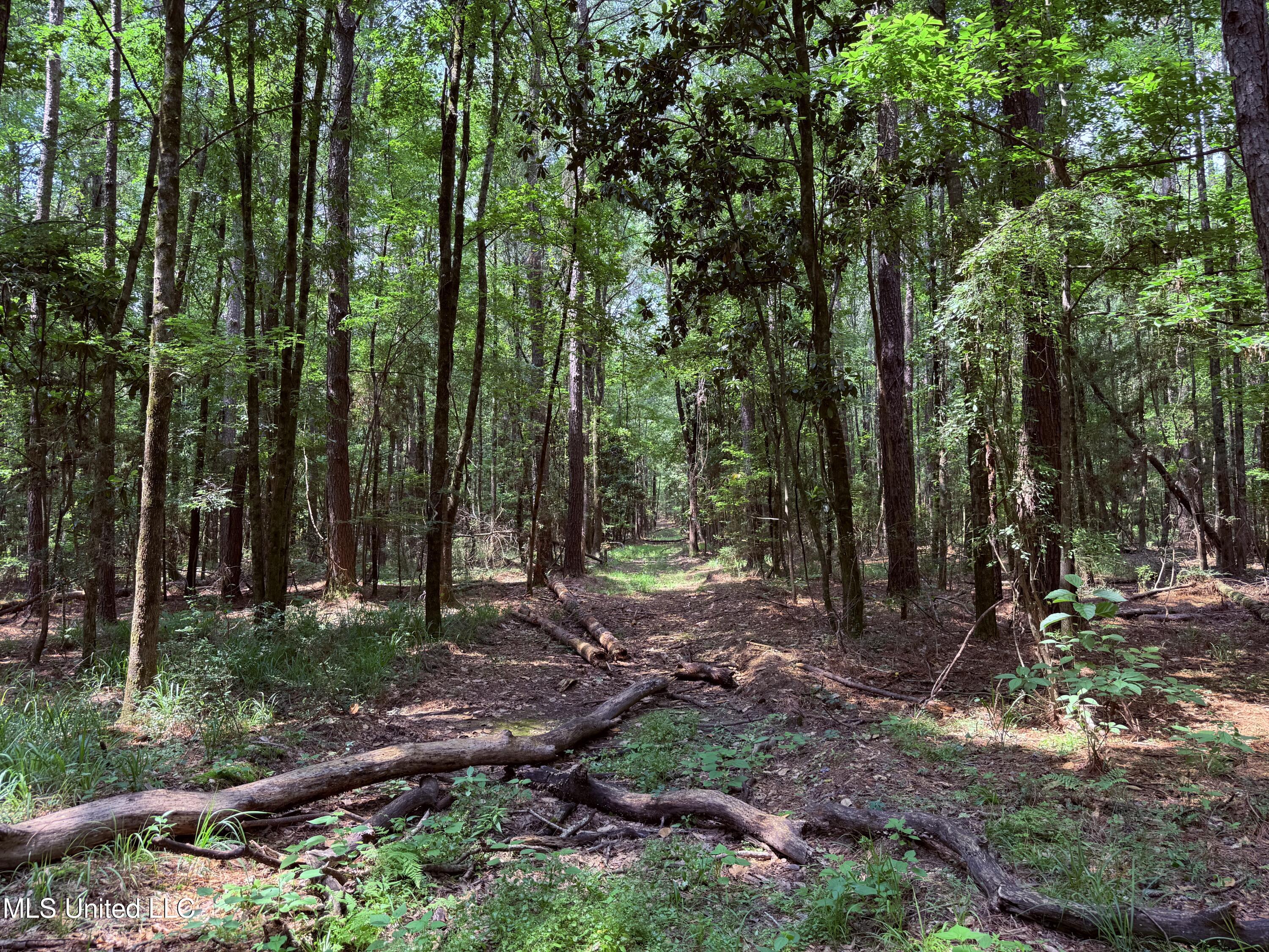 6769 Ms-569 Property Photo 47