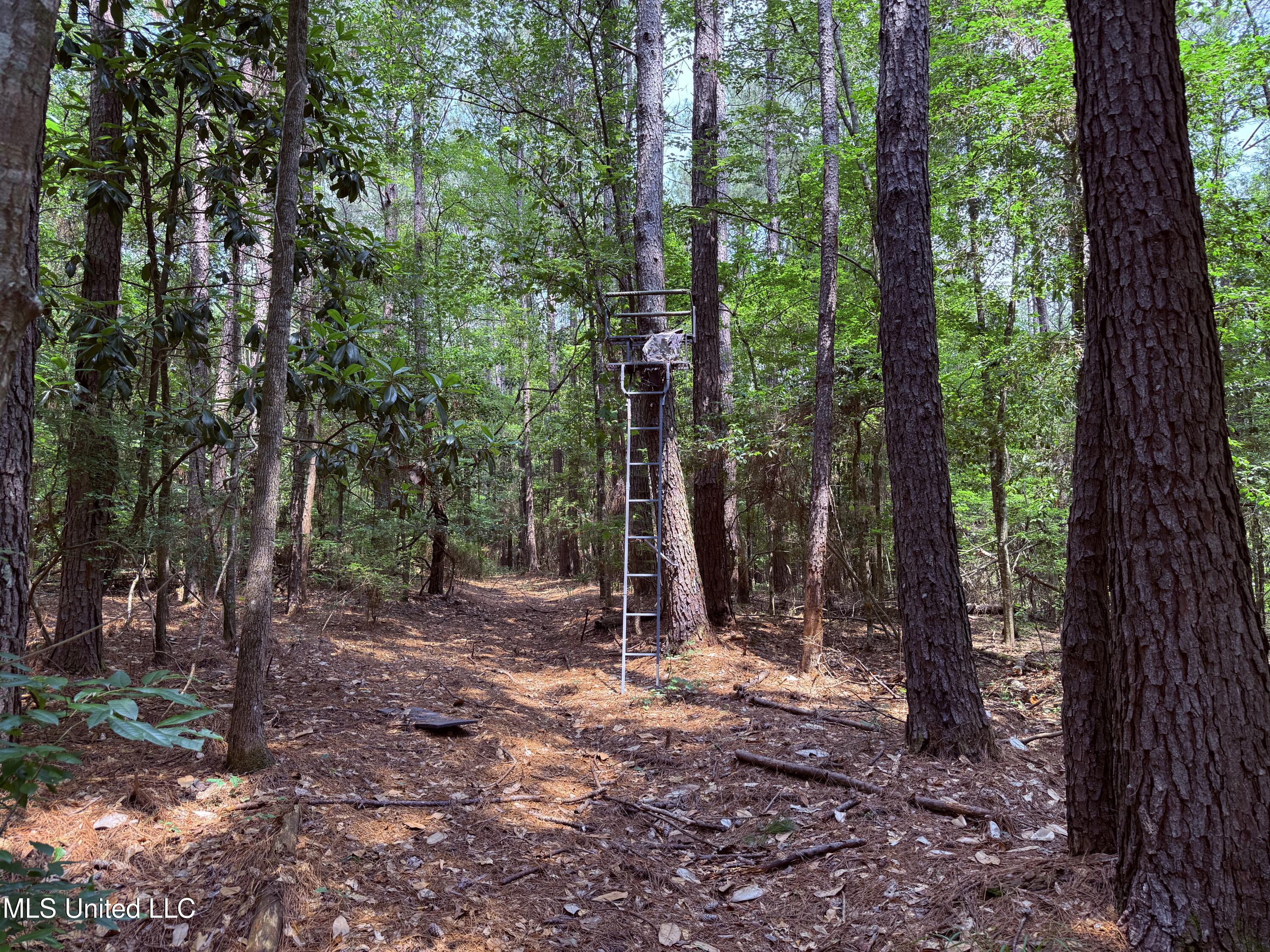 6769 Ms-569 Property Photo 49