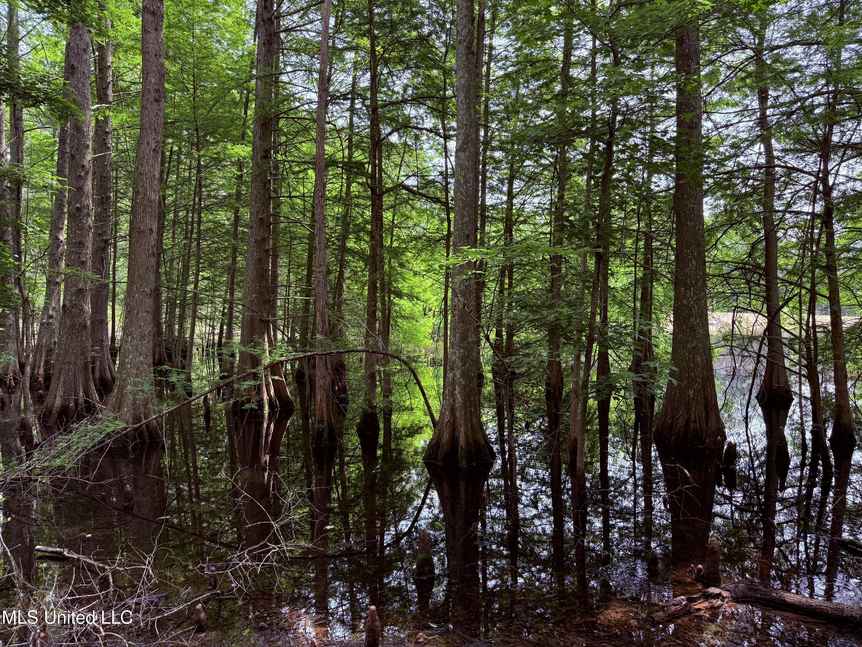 6769 Ms-569 Property Photo 50