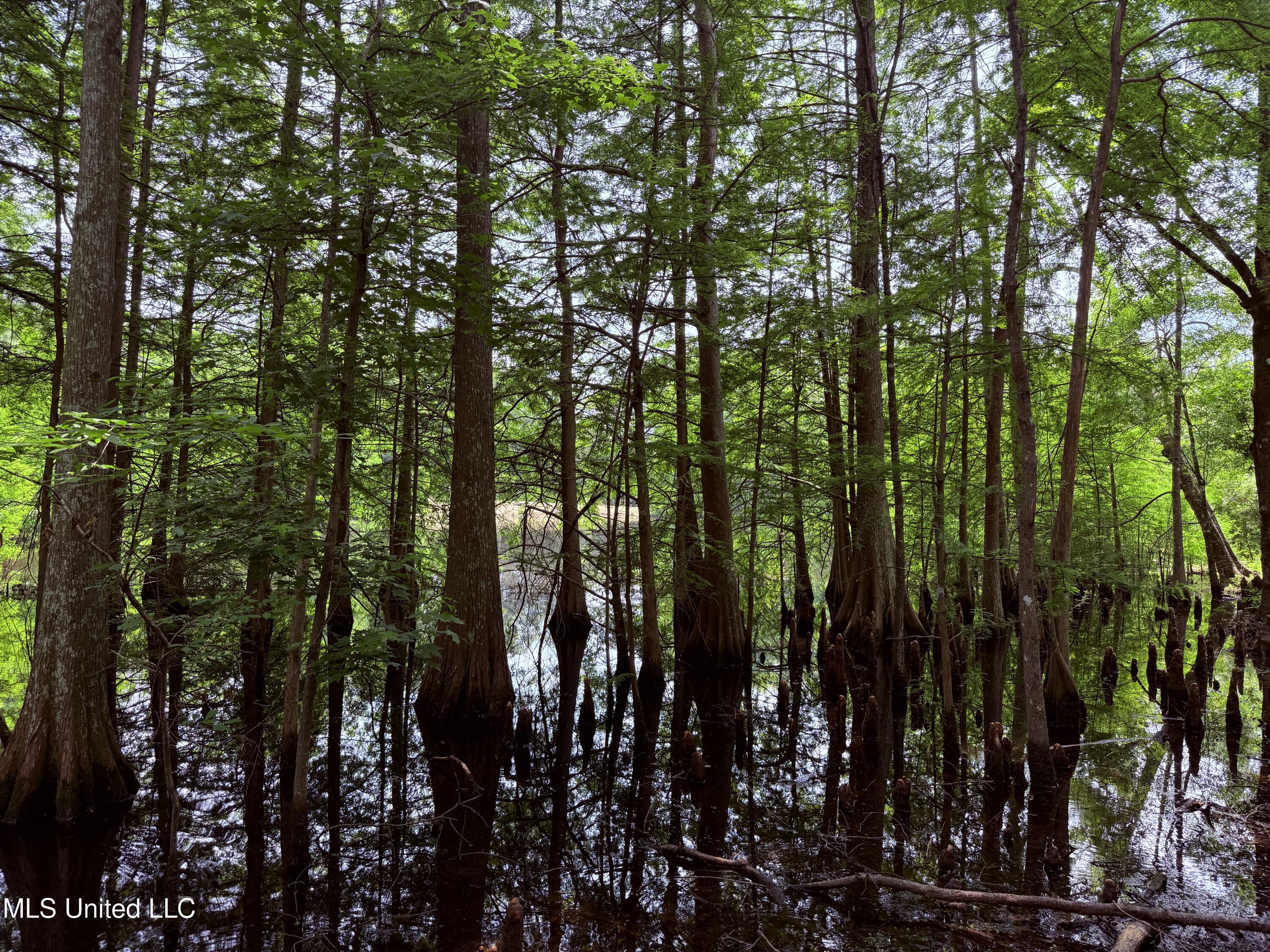 6769 Ms-569 Property Photo 51