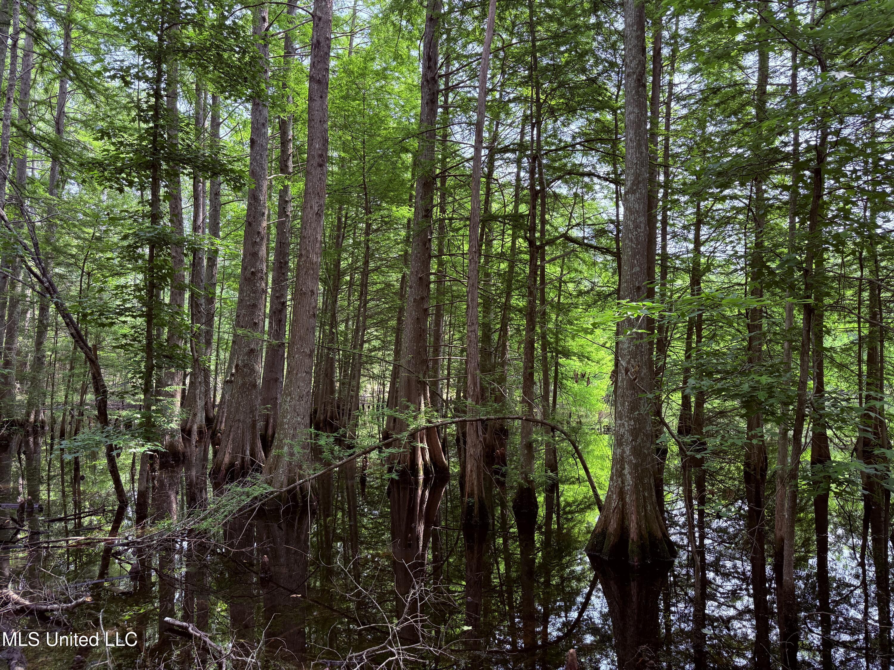 6769 Ms-569 Property Photo 52