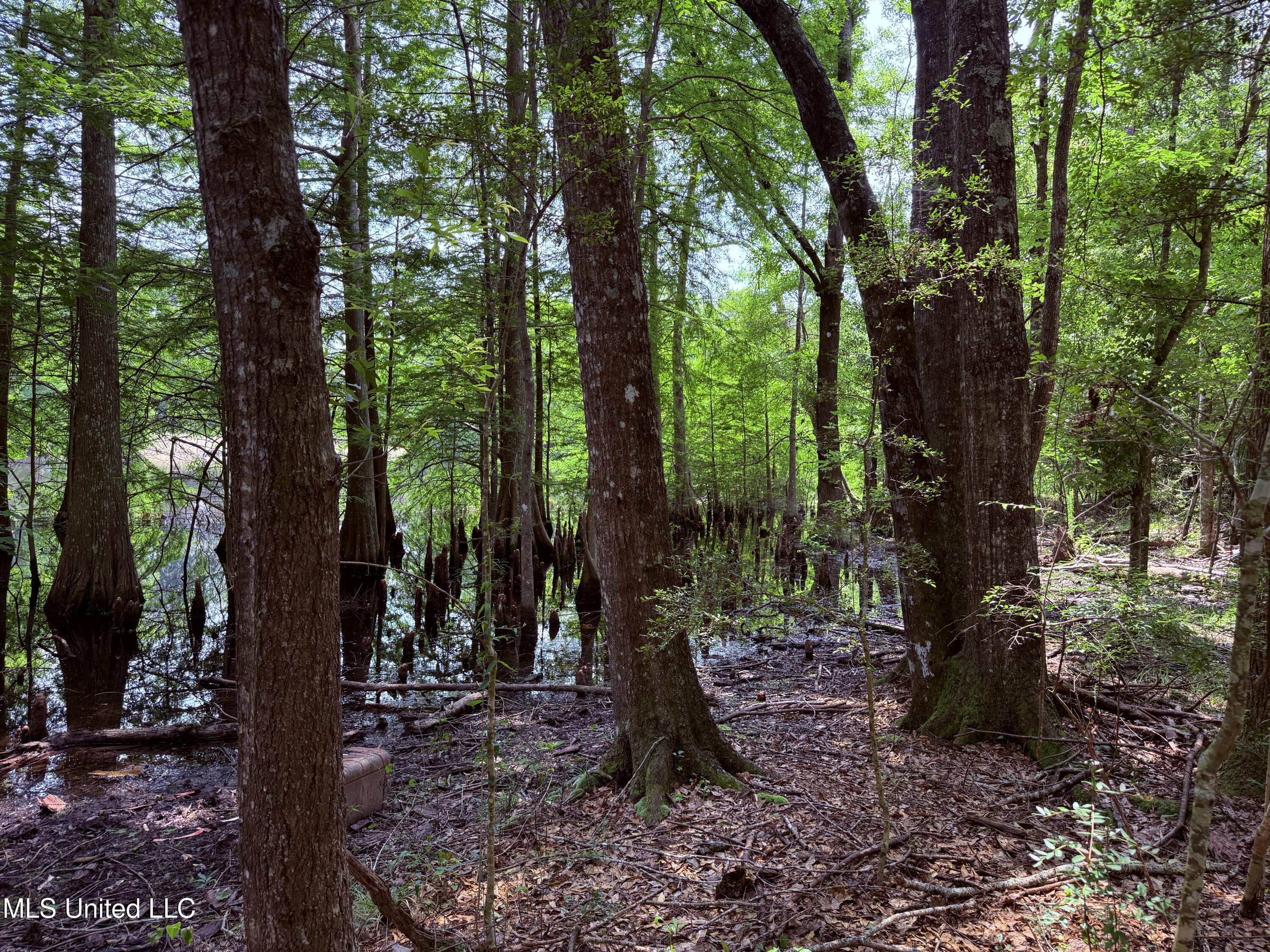 6769 Ms-569 Property Photo 53