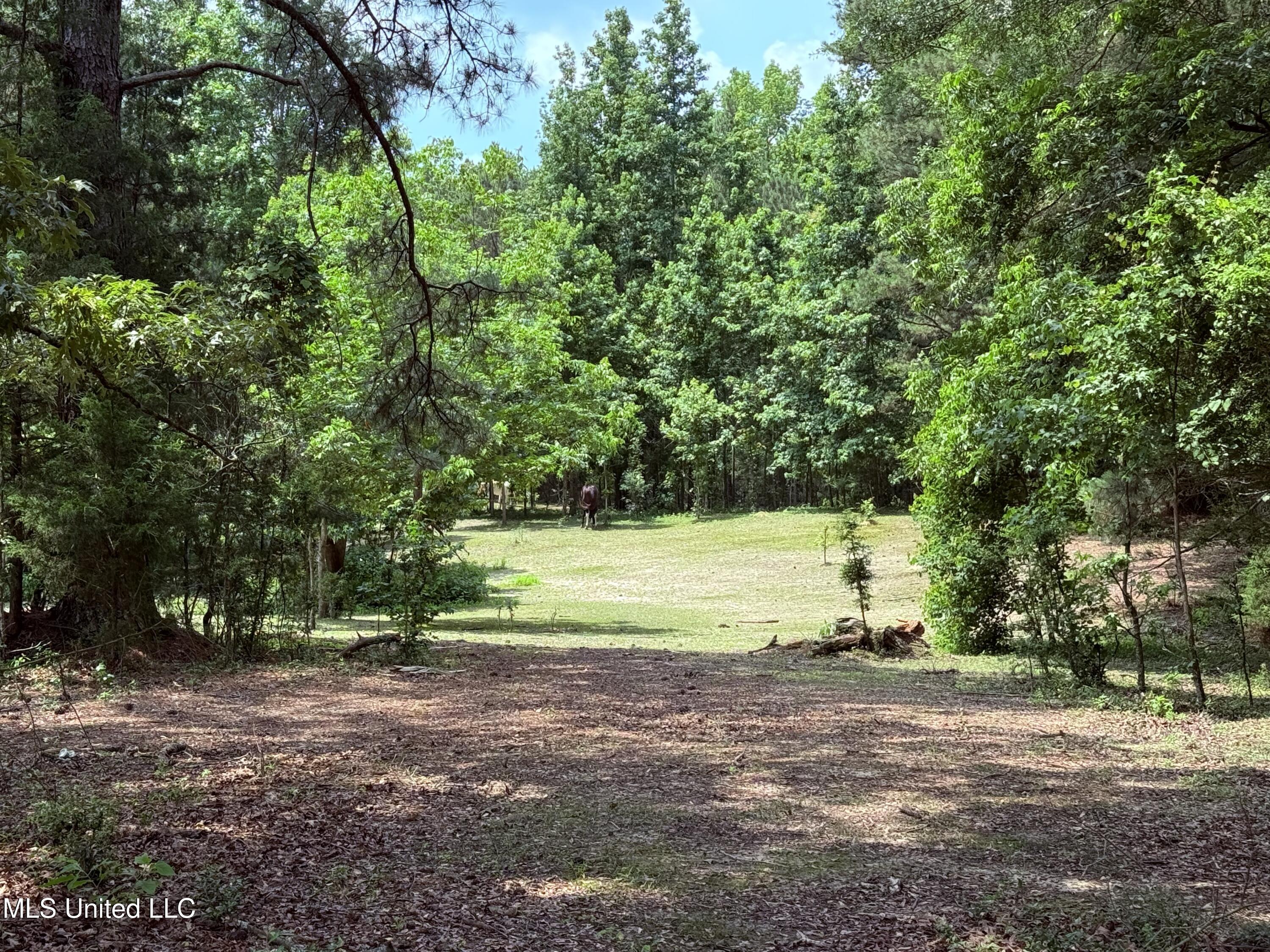 6769 Ms-569 Property Photo 54