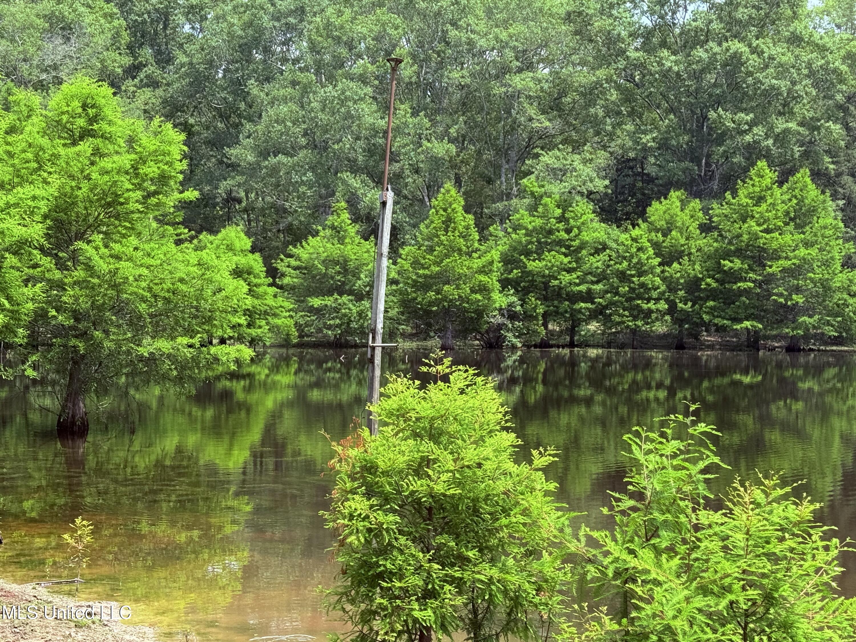 6769 Ms-569 Property Photo 55