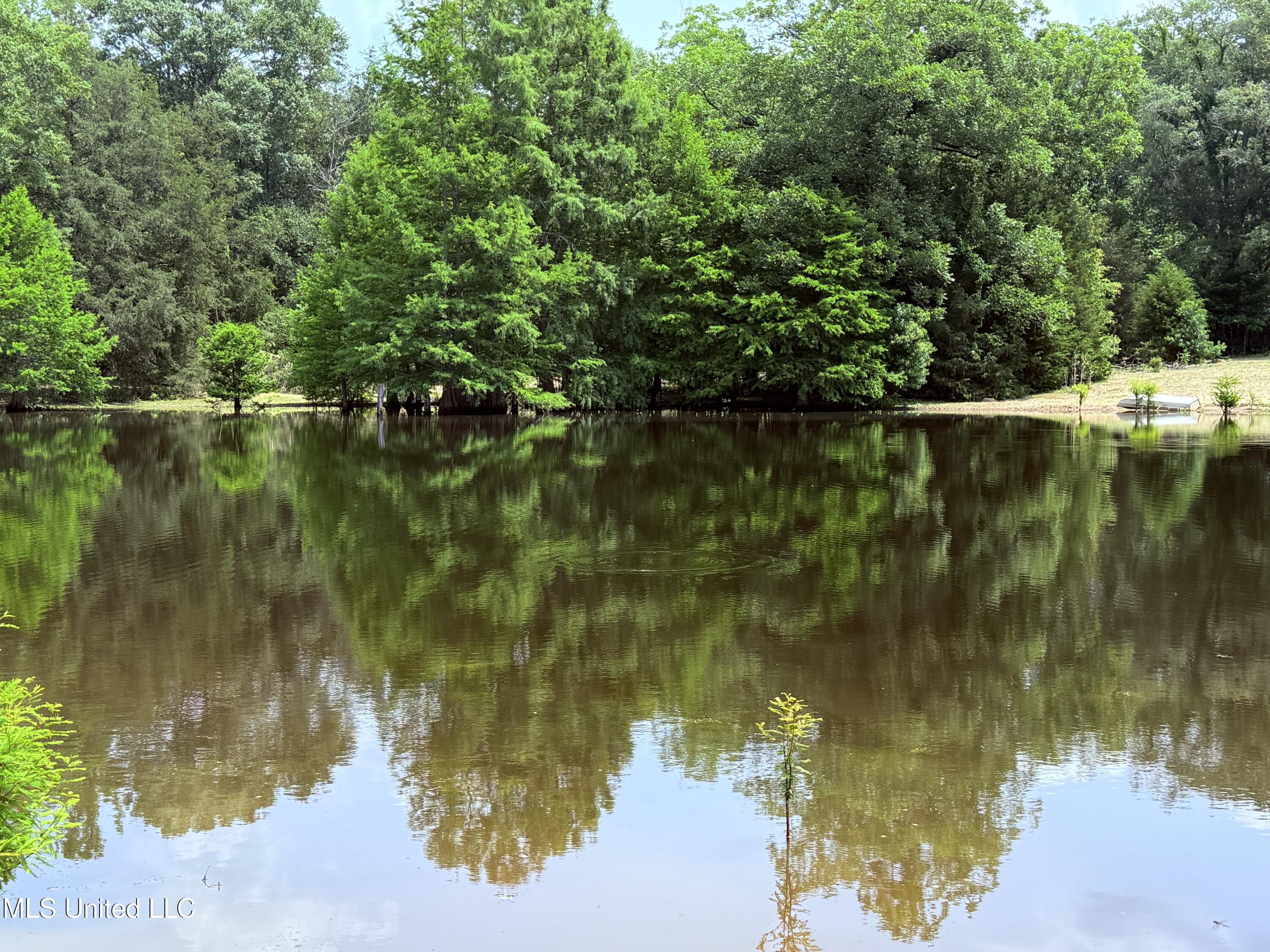 6769 Ms-569 Property Photo 56