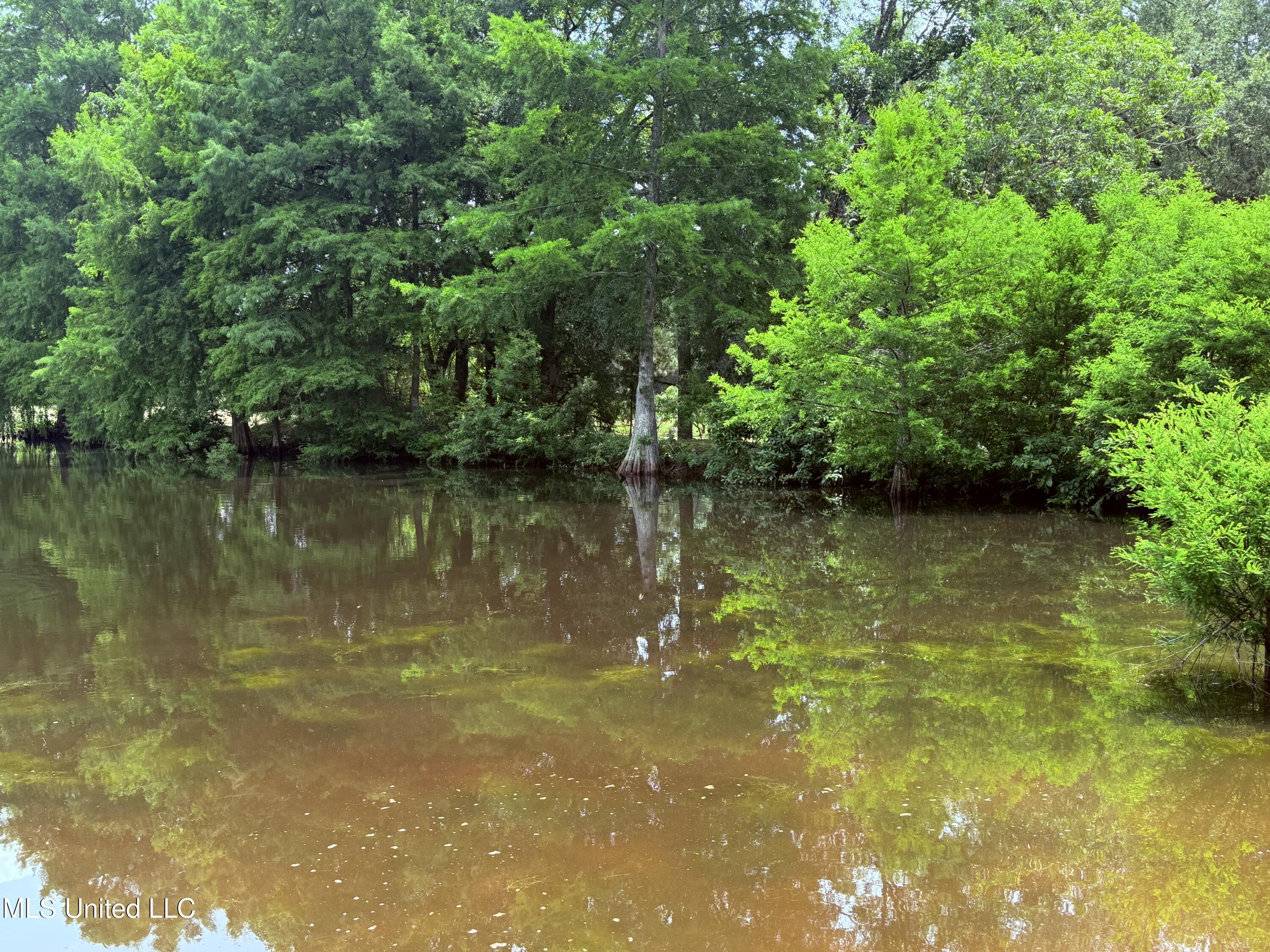 6769 Ms-569 Property Photo 57