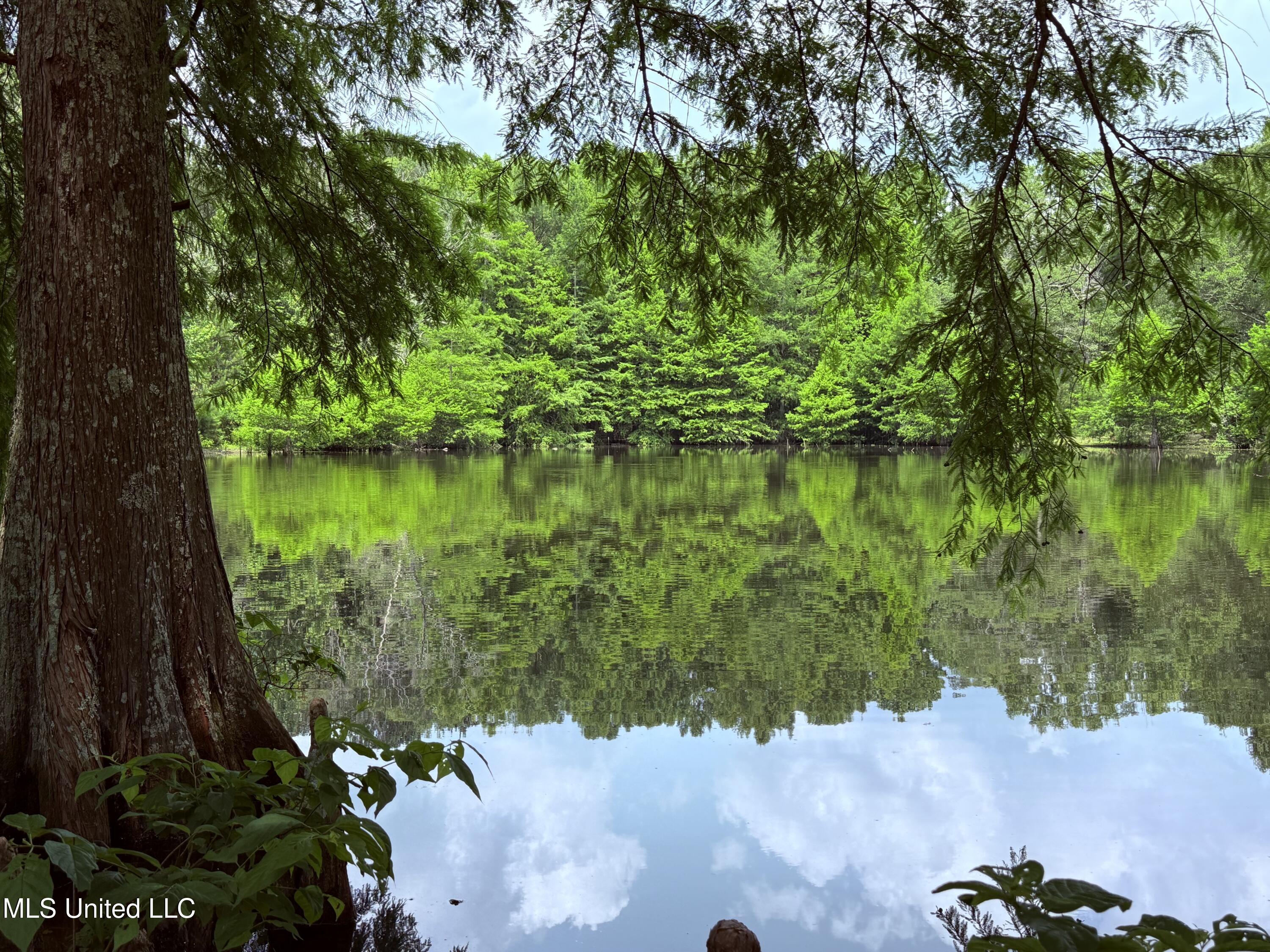 6769 Ms-569 Property Photo 58