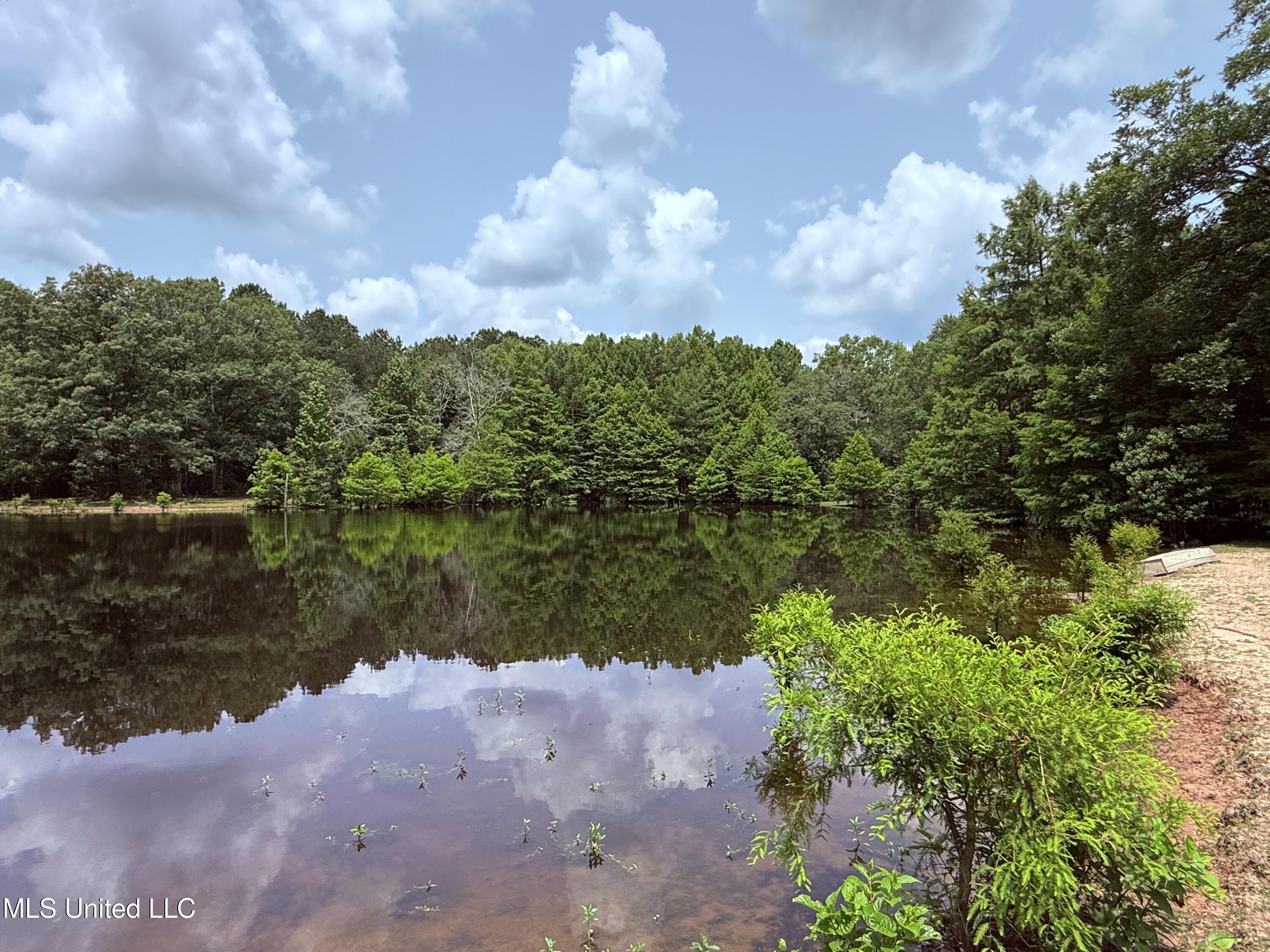 6769 Ms-569 Property Photo 59