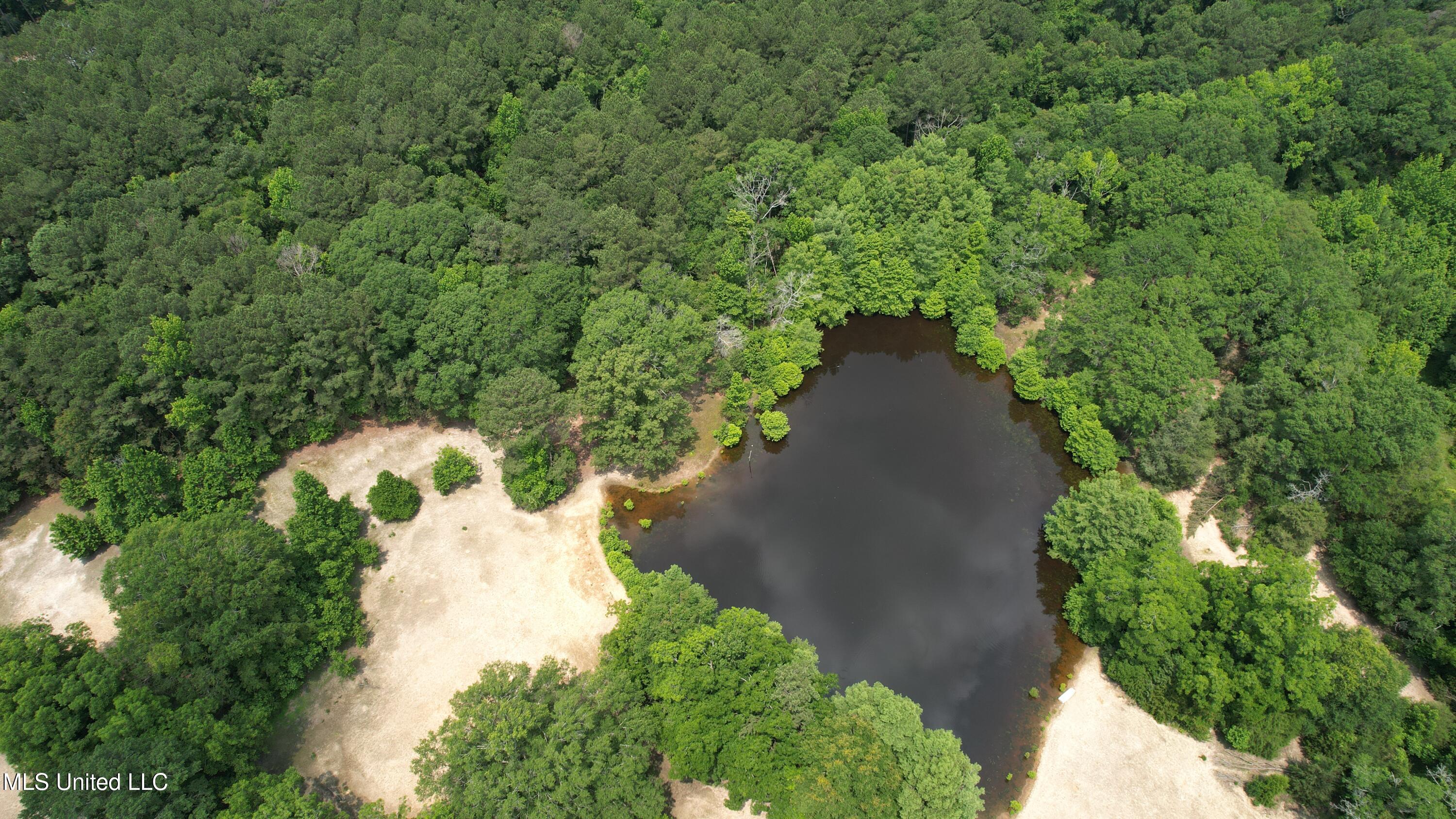 6769 Ms-569 Property Photo 63