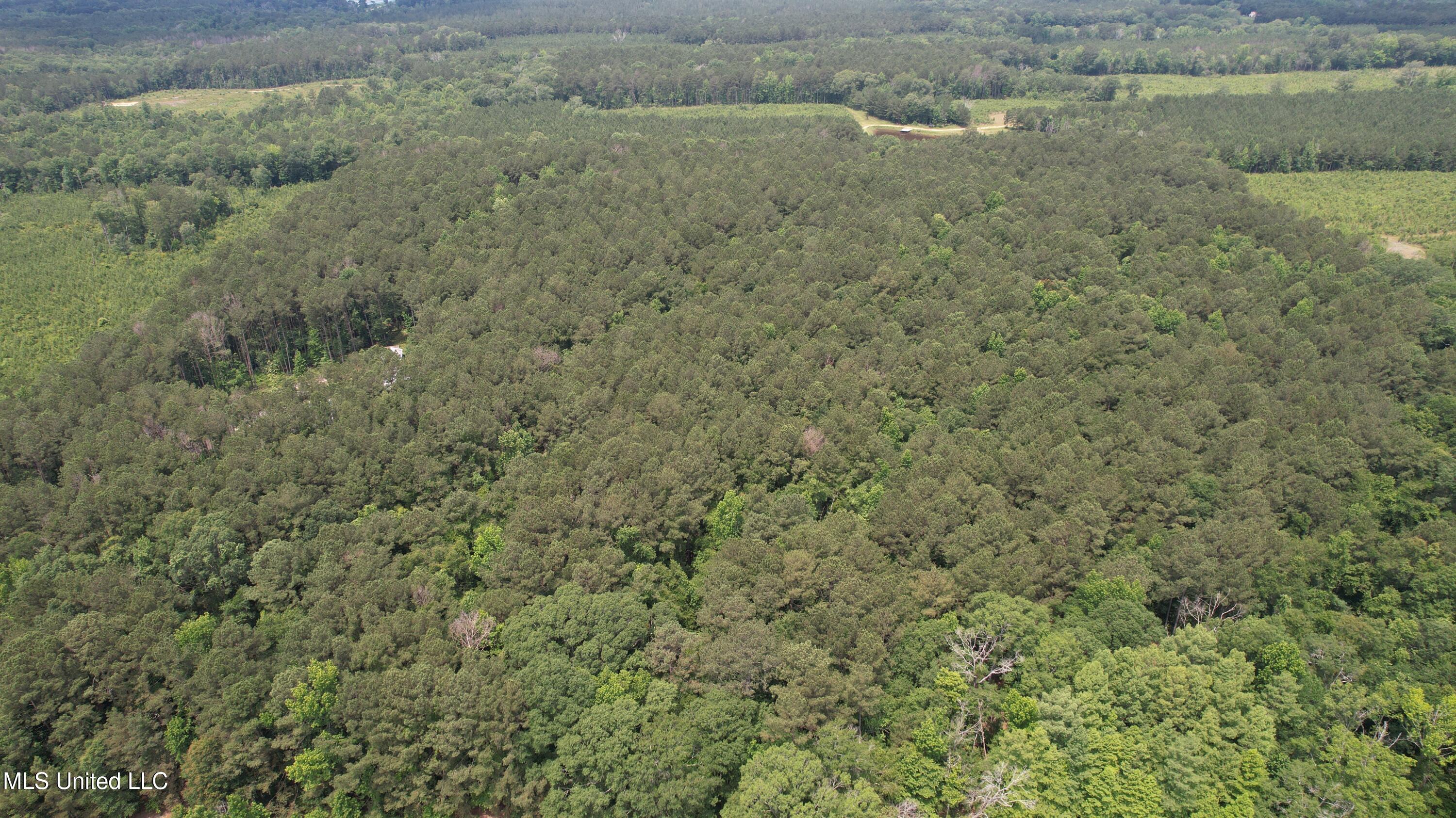 6769 Ms-569 Property Photo 64