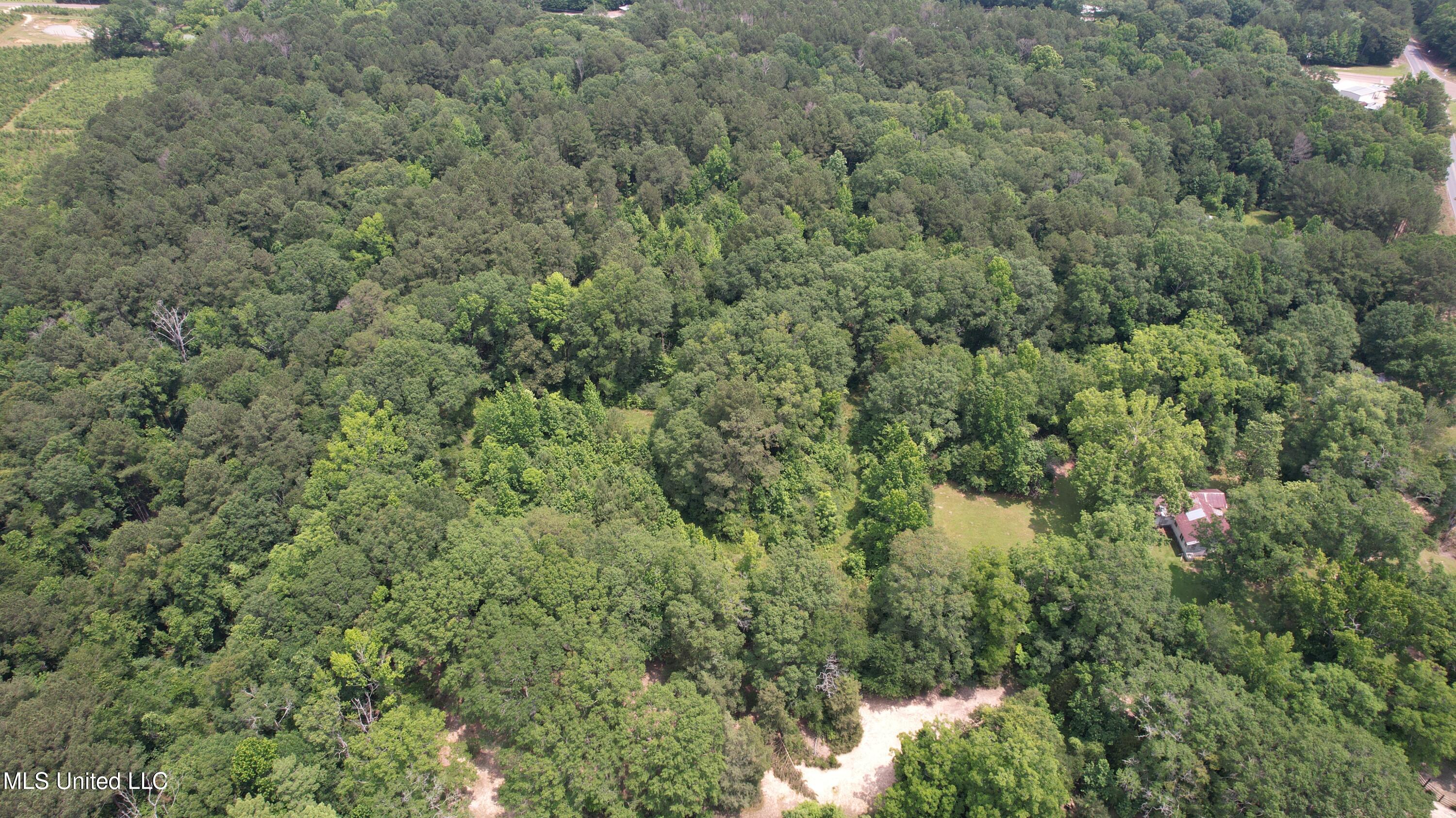 6769 Ms-569 Property Photo 67