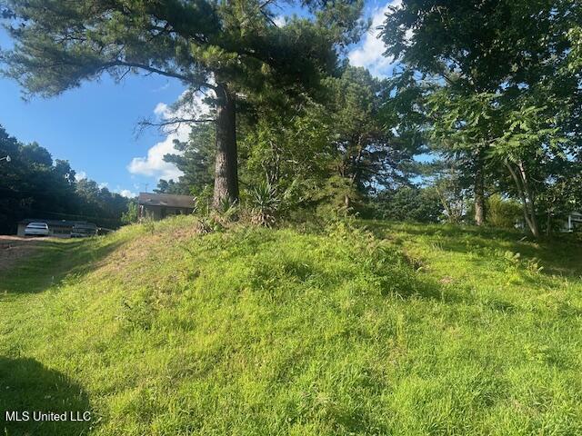 196 Pleasant Hill Road Property Photo 1