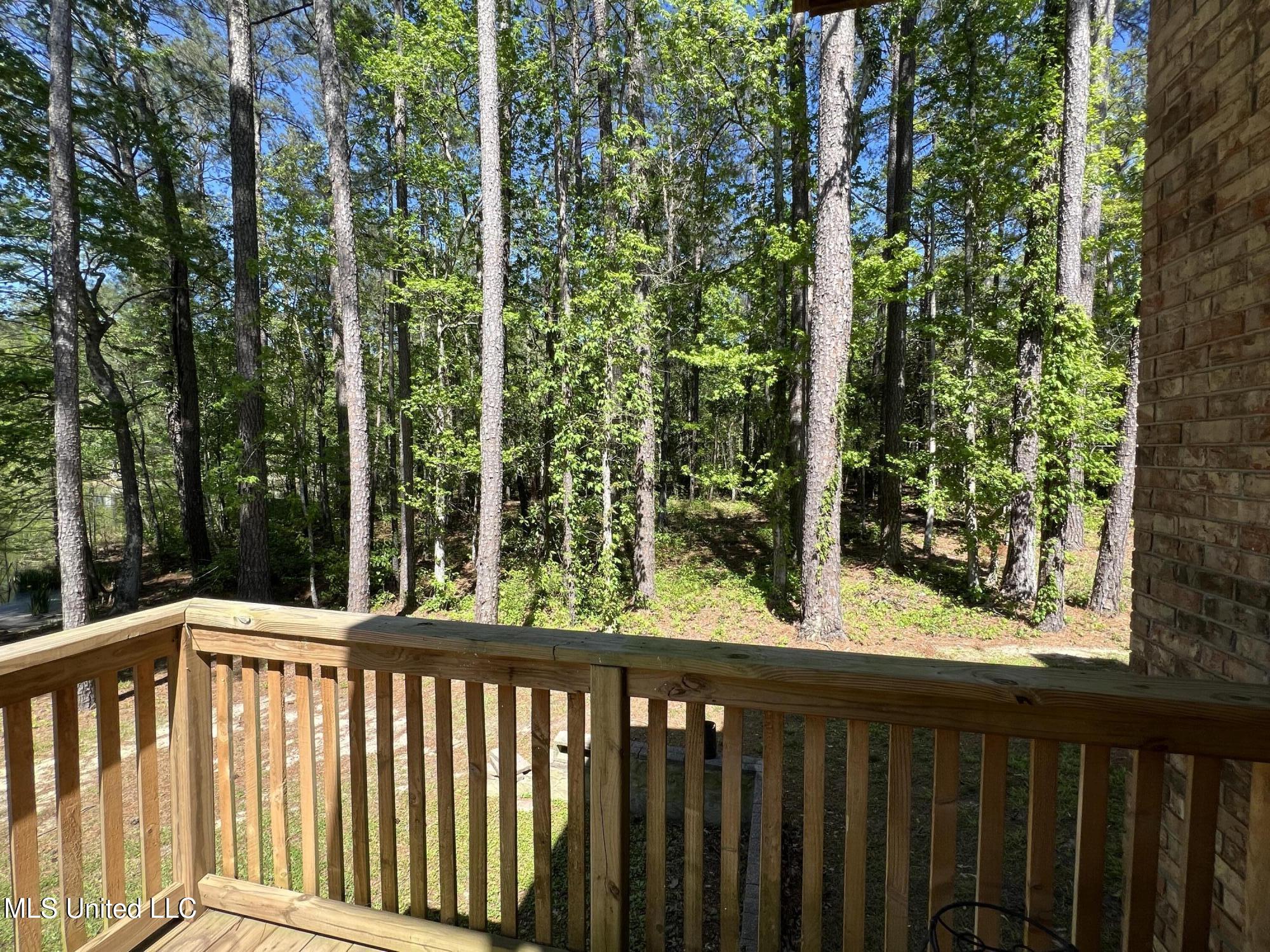 110 Hawks Nest Cove Property Photo 12
