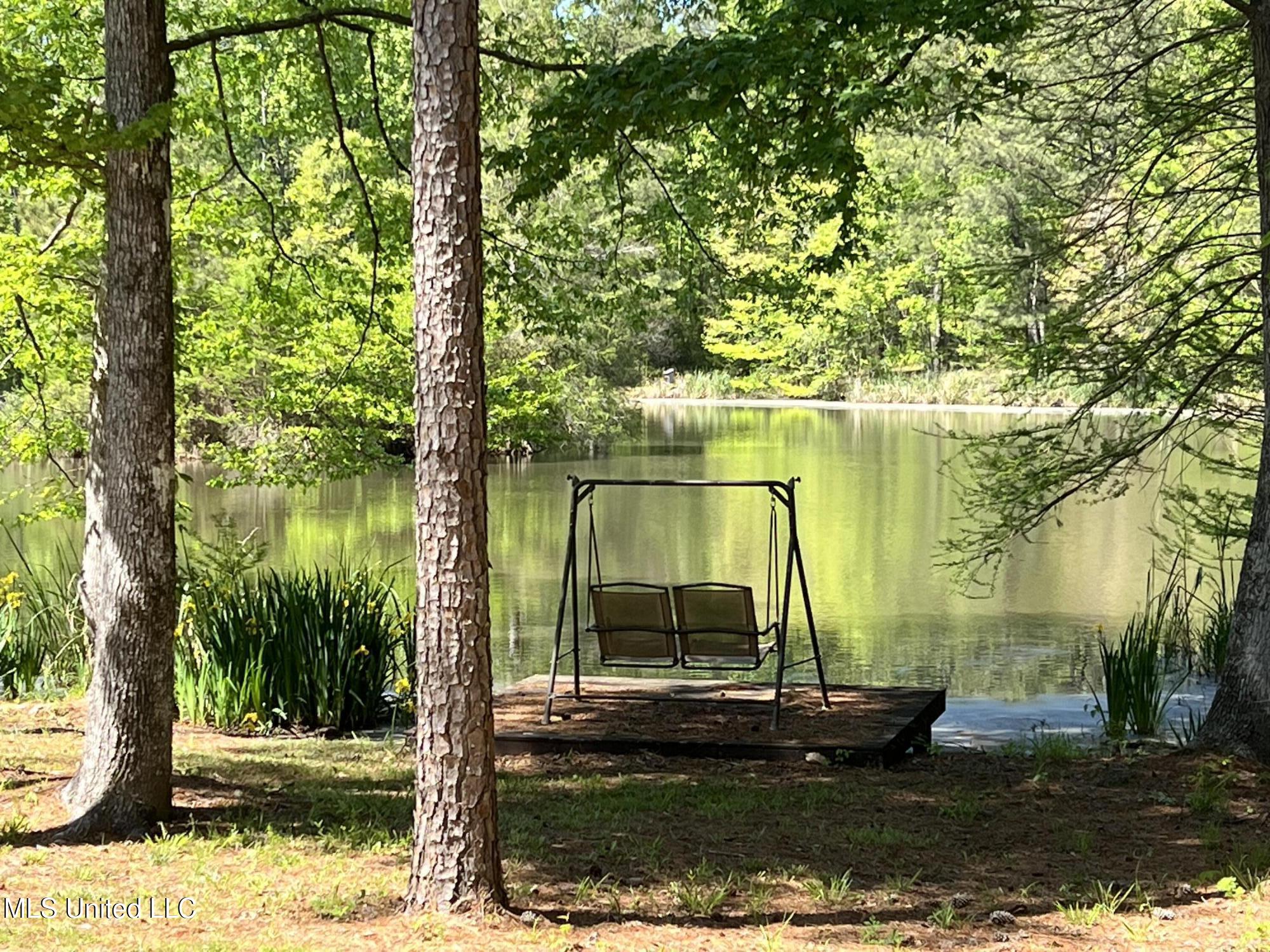 110 Hawks Nest Cove Property Photo 46