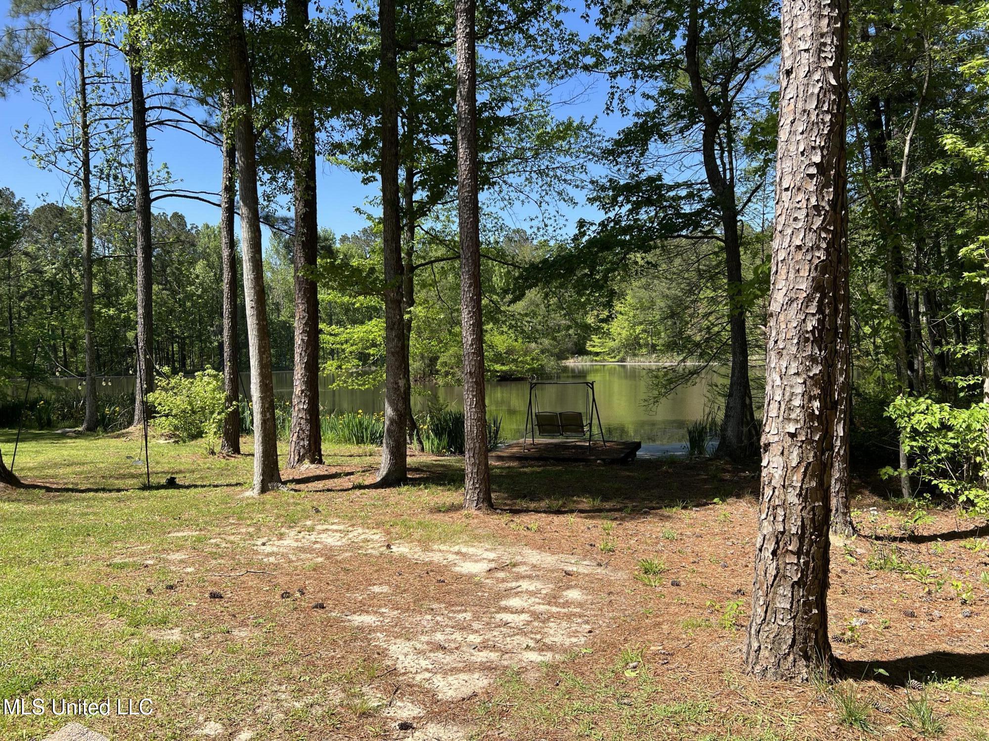 110 Hawks Nest Cove Property Photo 51