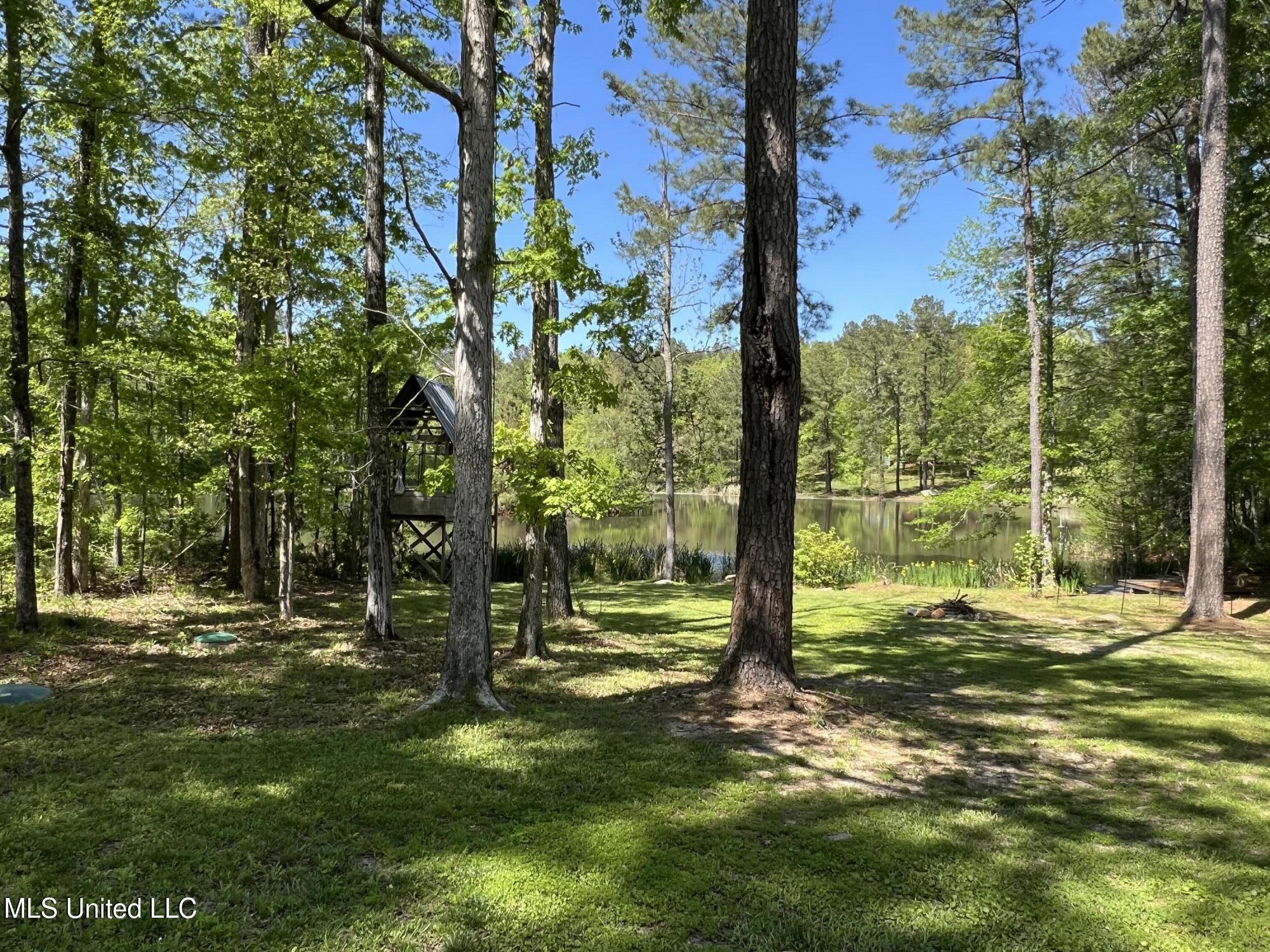 110 Hawks Nest Cove Property Photo 52