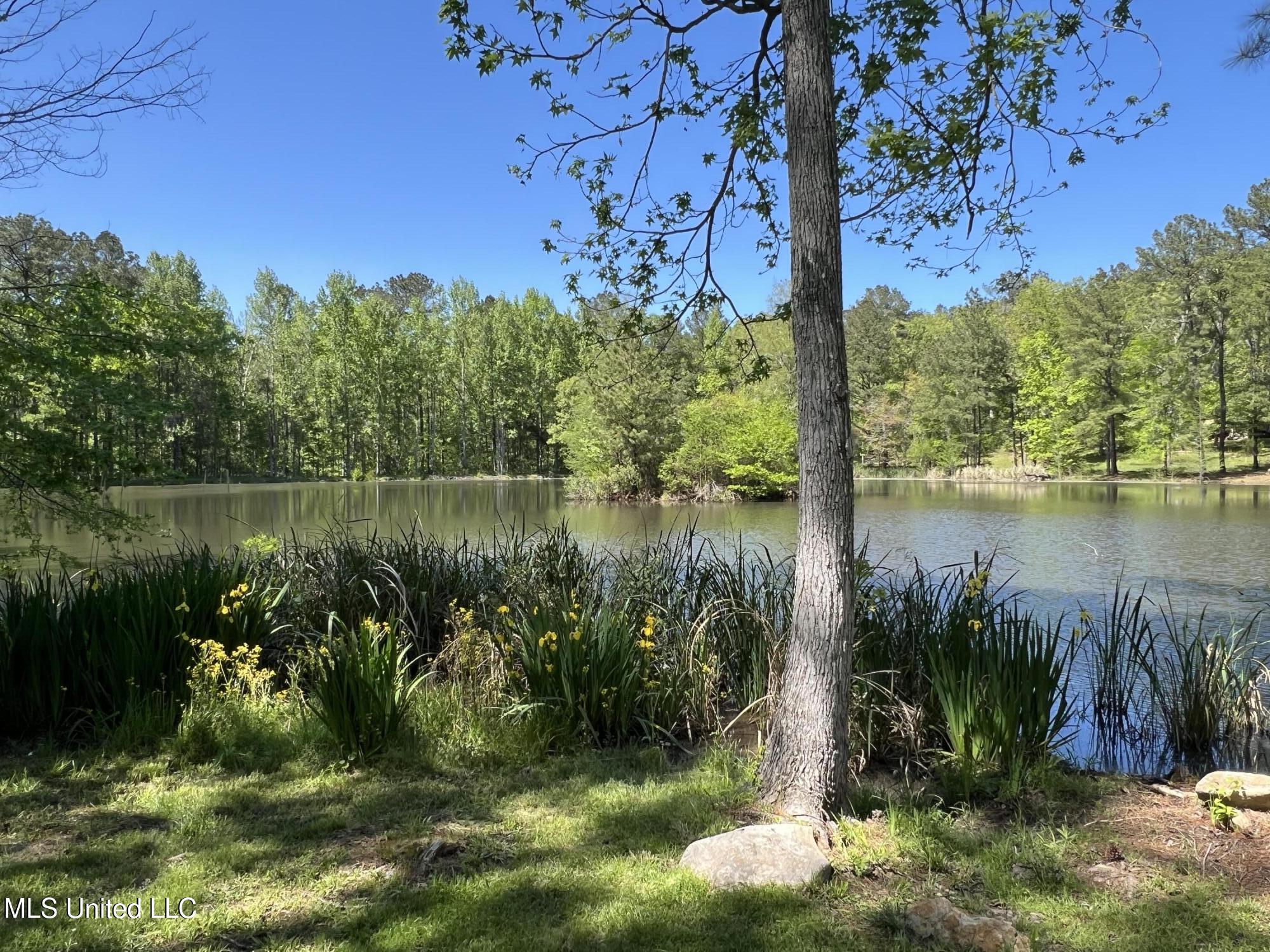 110 Hawks Nest Cove Property Photo 53