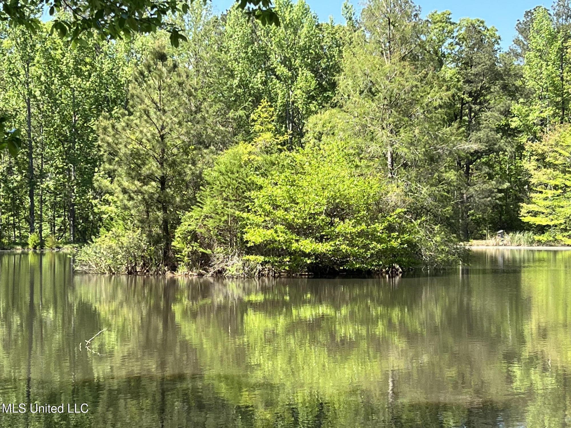 110 Hawks Nest Cove Property Photo 54