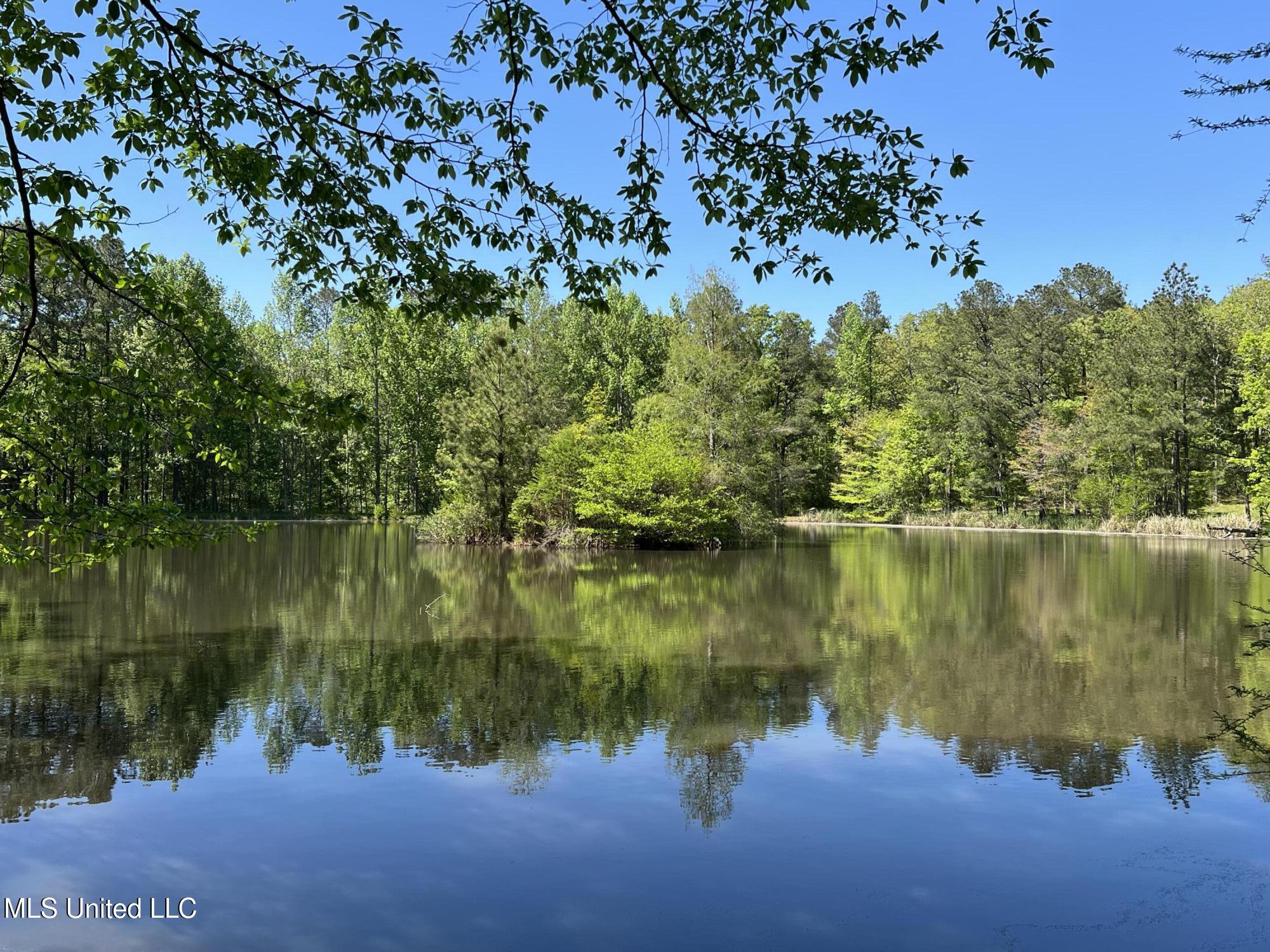 110 Hawks Nest Cove Property Photo 55