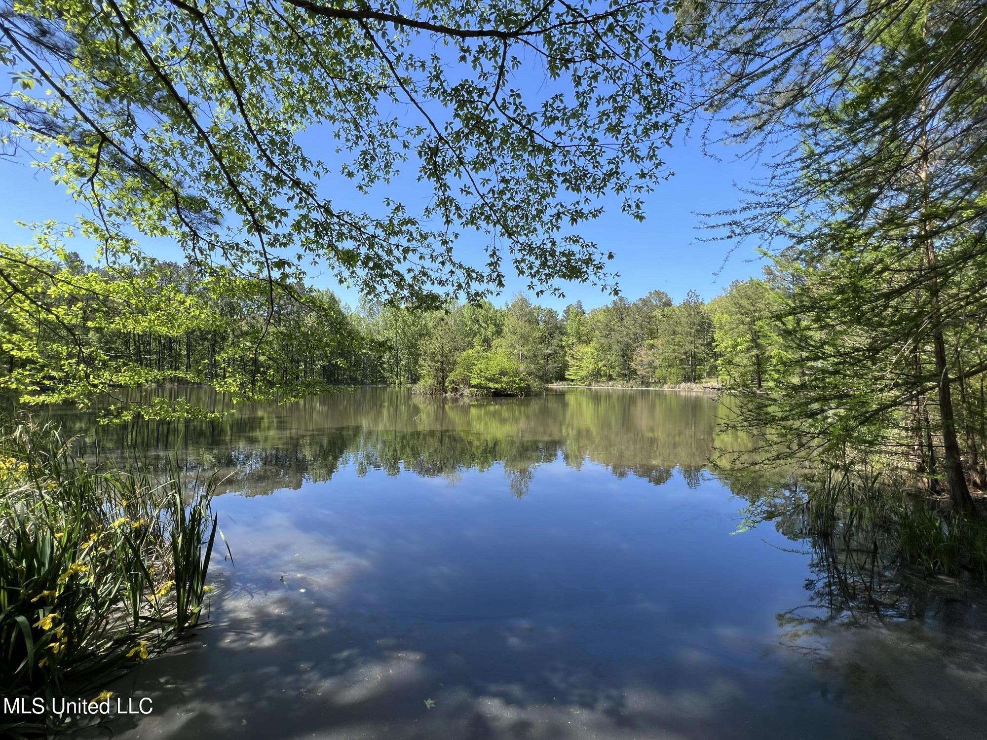 110 Hawks Nest Cove Property Photo 56