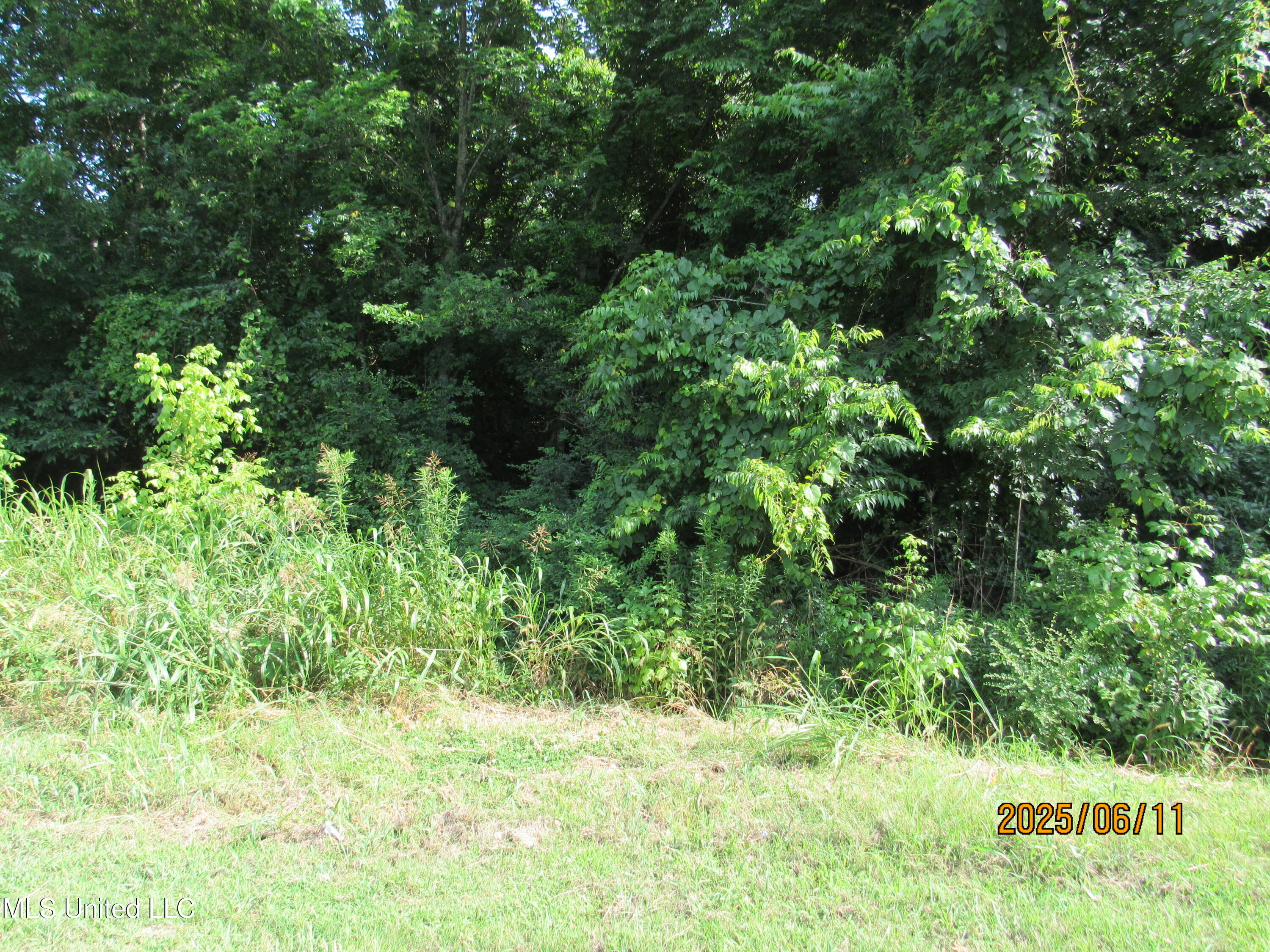 Enchanted Drive Property Photo 3